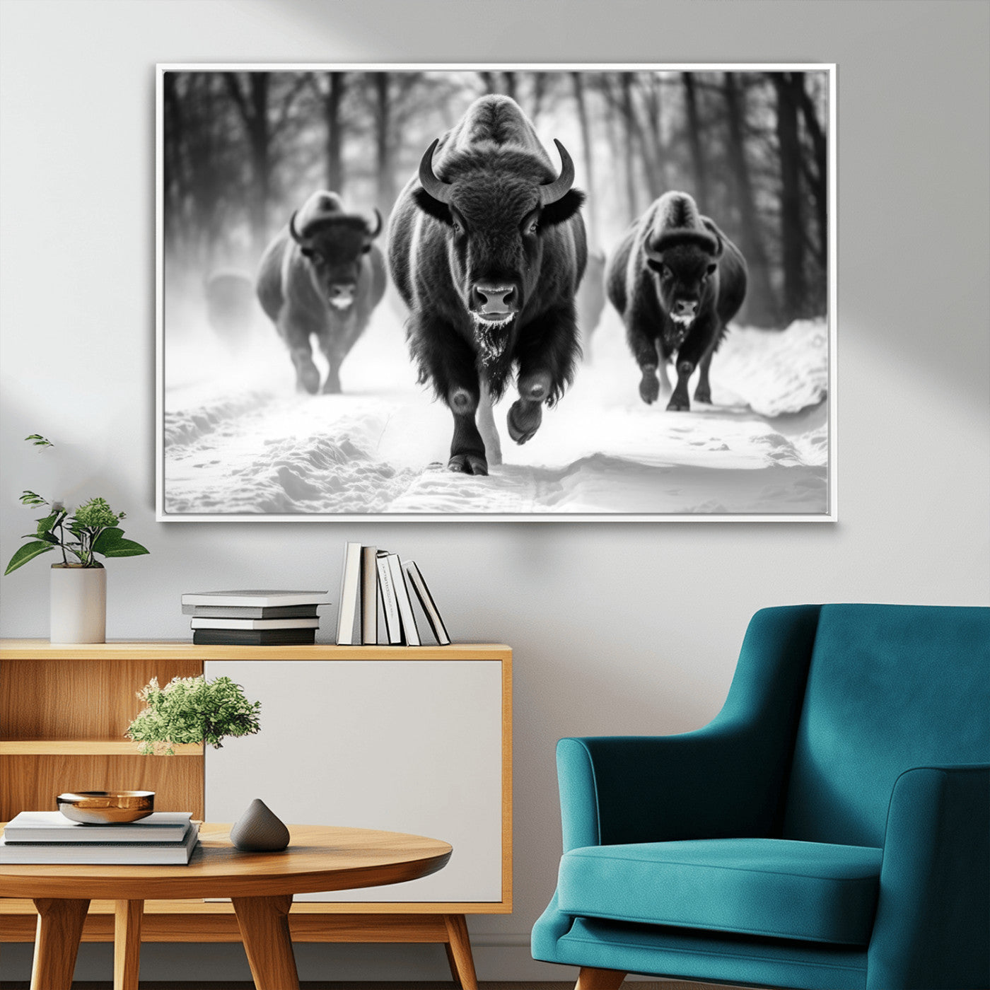 MGV-FC-36X24 - Buffalo Wall Art Canvas Print, Bison Family Wall Art Canvas Print