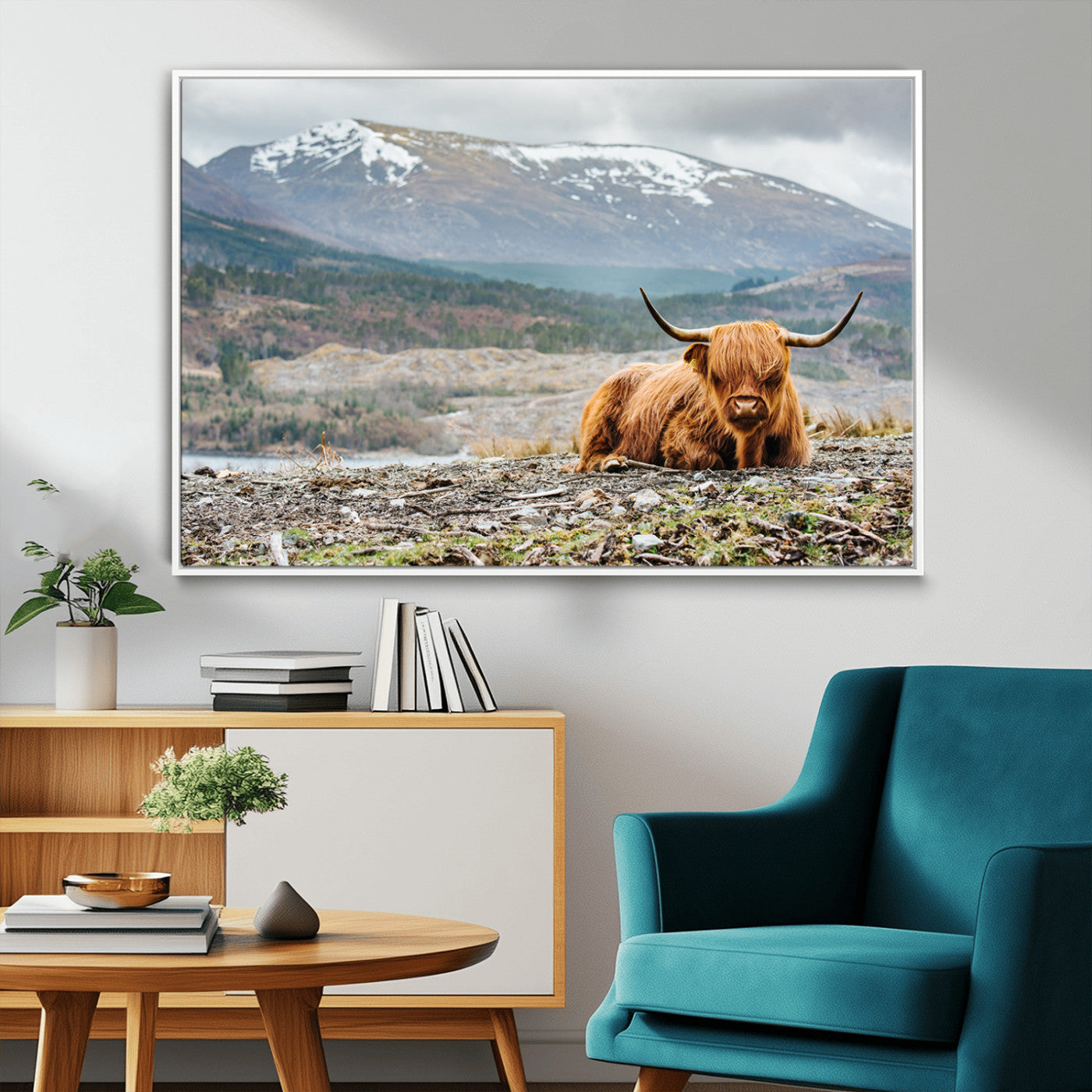 80252-MGV-FC-36X24_White-Highland Cow Horn Farm Wall Art Canvas Print