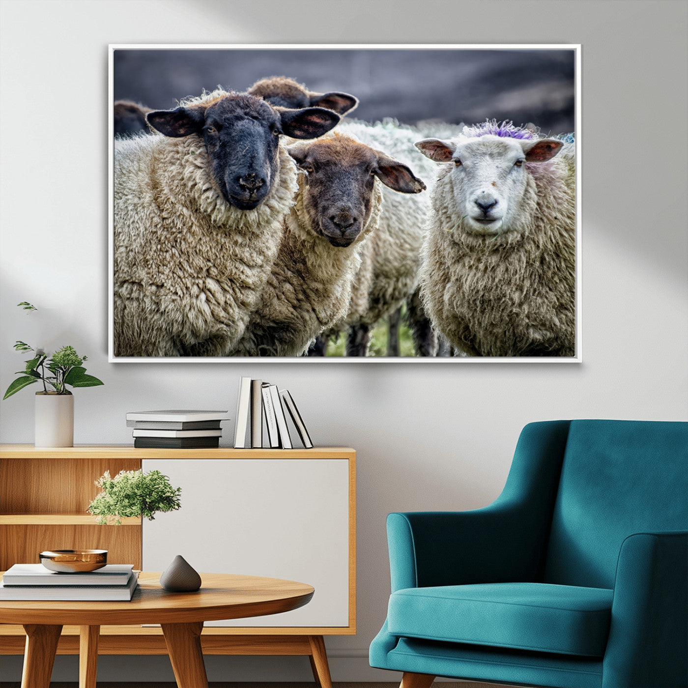 -Charming Sheep Portrait Wall Art – Trio of Woolly Companions Canvas Print, Framed, Ready to Hang