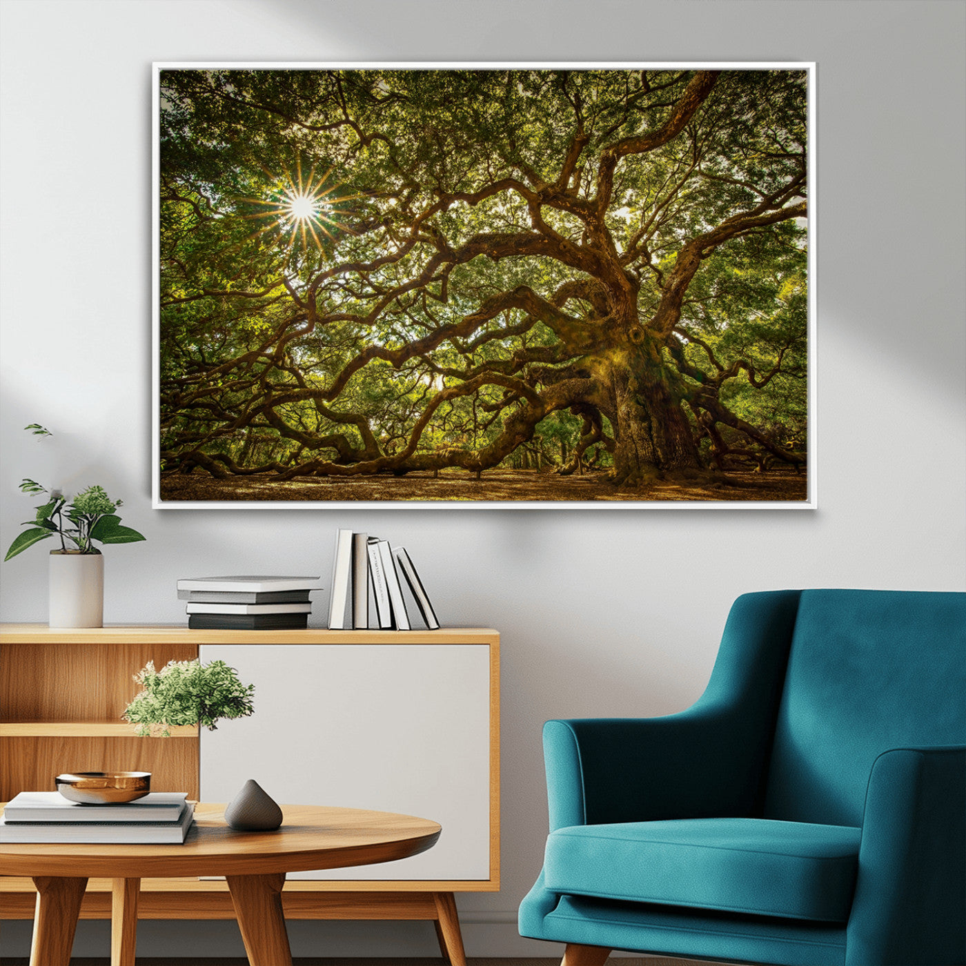 MGV-FC-36X24 - Ancient Angel Oak Tree Art Sunburst Canvas Print- Nature-Inspired Triptych Canvas Print, Framed, Ready to Hang