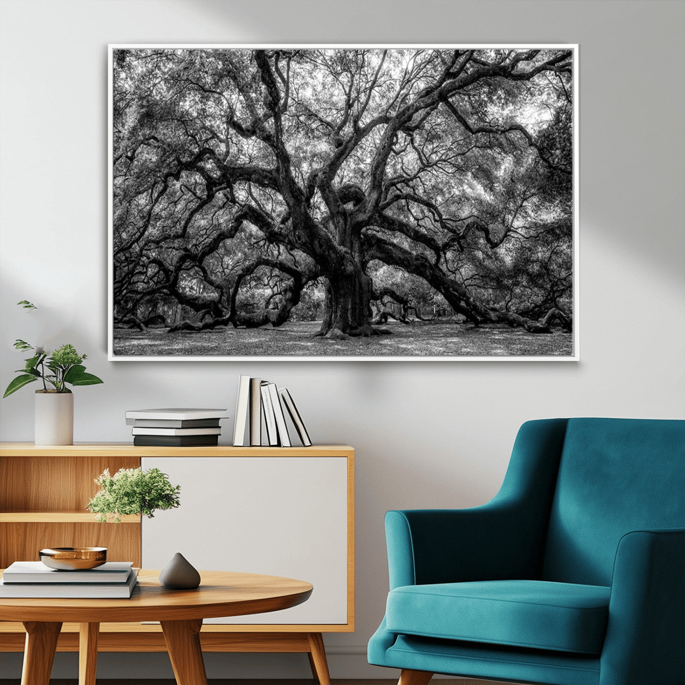 MGV-FC-36X24 - Black and White Old Angel Oak Tree Wall Art Canvas Print