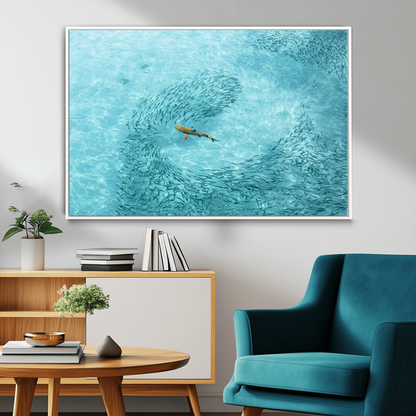 Aerial view of a shark swimming through a swirl of fish in clear turquoise waters, perfect for calm coastal or beach house decor.