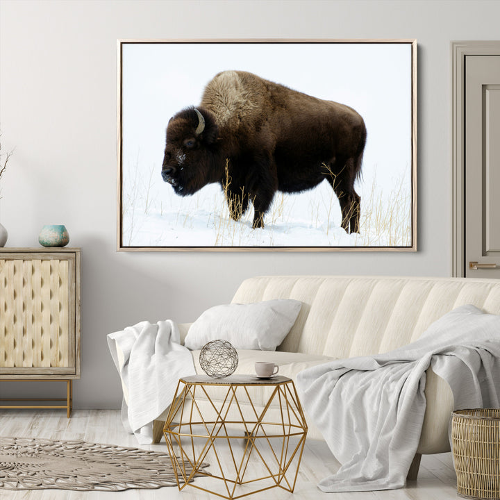 Bison Photography Wall Art Canvas Print, Framed Western Wildlife Art Picture Print, Buffalo On Snow Perfect Western Decor Artwork