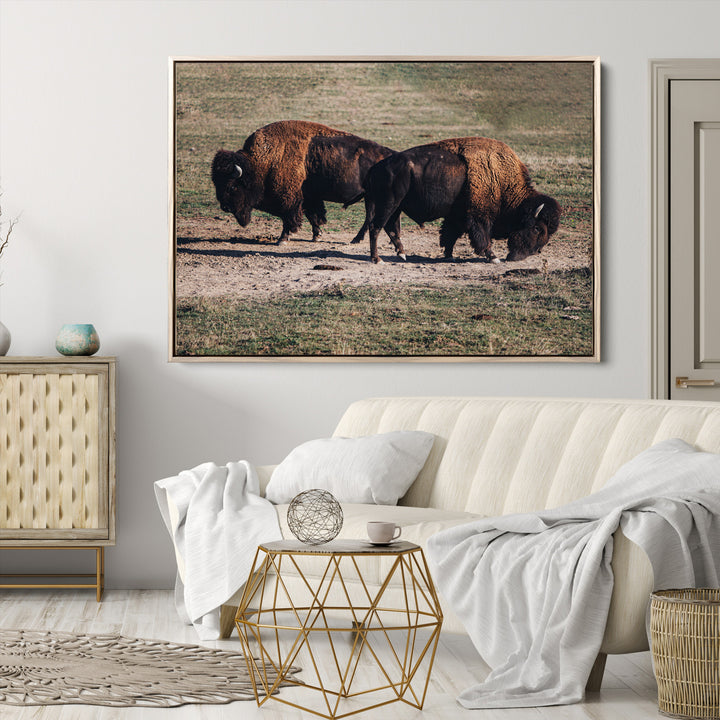 Bison Photography Wall Art Canvas Print, Framed Western Wildlife Art Picture Print, Modern Ranch Perfect Western Rustic Decor Artwork