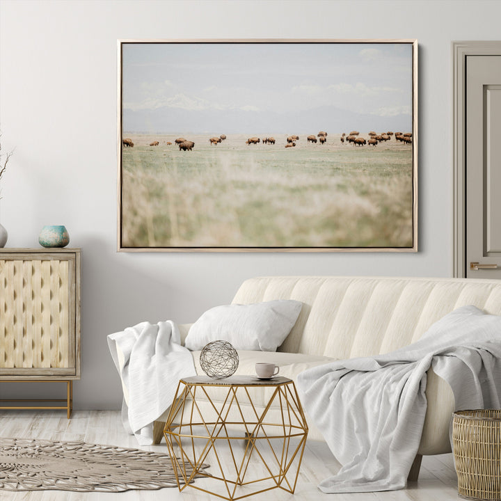 Bison Herd Wall Art Canvas Print, Framed Western Art Picture Print, Bison Perfect Ranch Decor Artwork