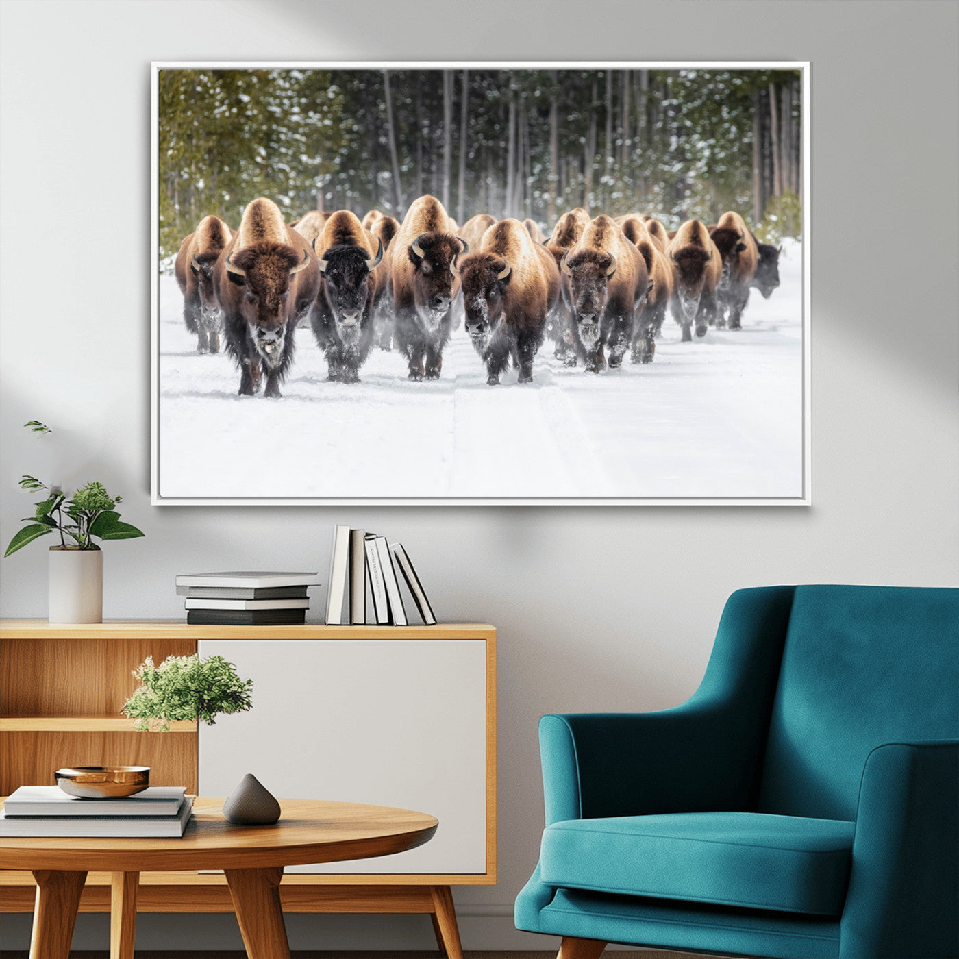 MGV-FC-36X24 - American Bison Herd in Snow Wall Art Canvas Print – Powerful Winter Wildlife Scene with Buffalo in