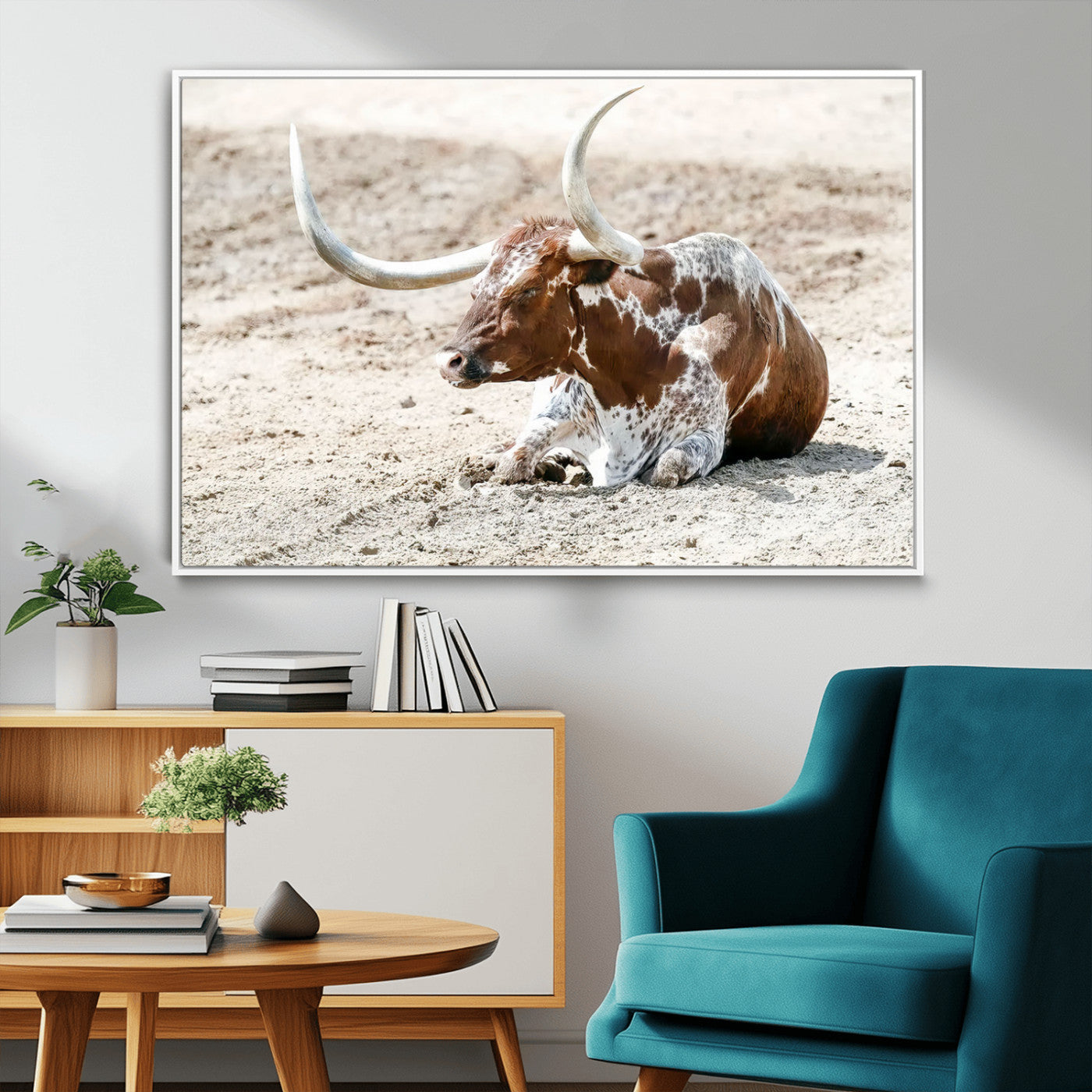 MGV-FC-36X24 - Majestic Longhorn Resting on Sunlit Desert Ground – Striking Western-Themed Wall Art Canvas Print