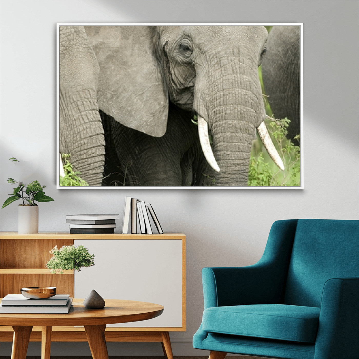 MGV-FC-36X24 - Wild Elephant Wall Art Canvas Print
