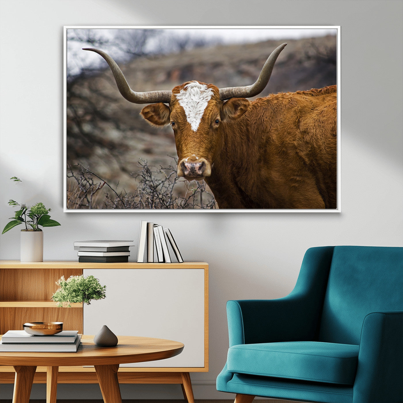 MGV-FC-36X24 - Texas Longhorn Canvas Wall Art - Longhorn Steer Canvas Wall Art Print- Rustic Western Animal Print,