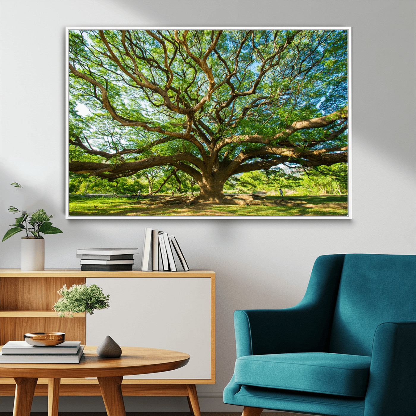 MGV-FC-36X24 - Angel Oak Tree Wall Art | Oak Canvas Print | Multi Panel Landscape Wall Art | Ready to Hang Wall Art