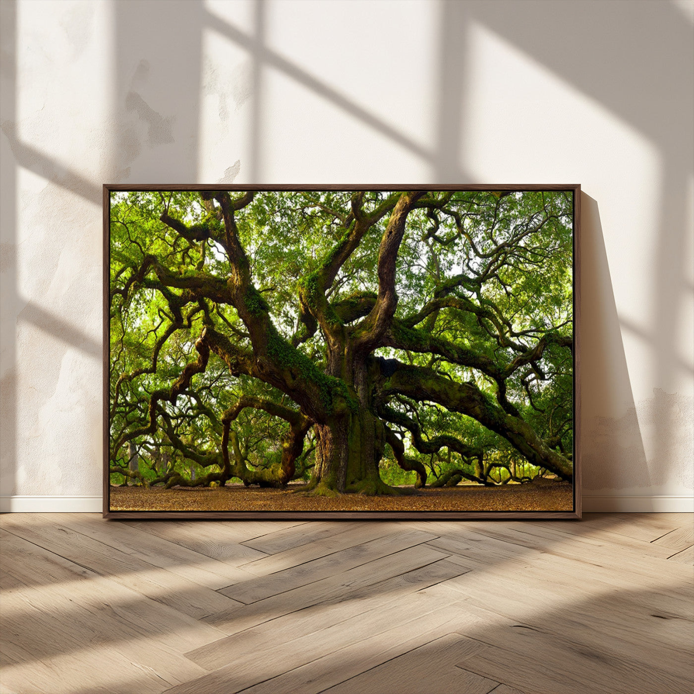 MGV-FC-36X24 - Angel Oak Tree Wall Art Canvas Print | Forest Tree Nature Photography Print on Canvas | Large Triptych Art for Living Room or Office Decor