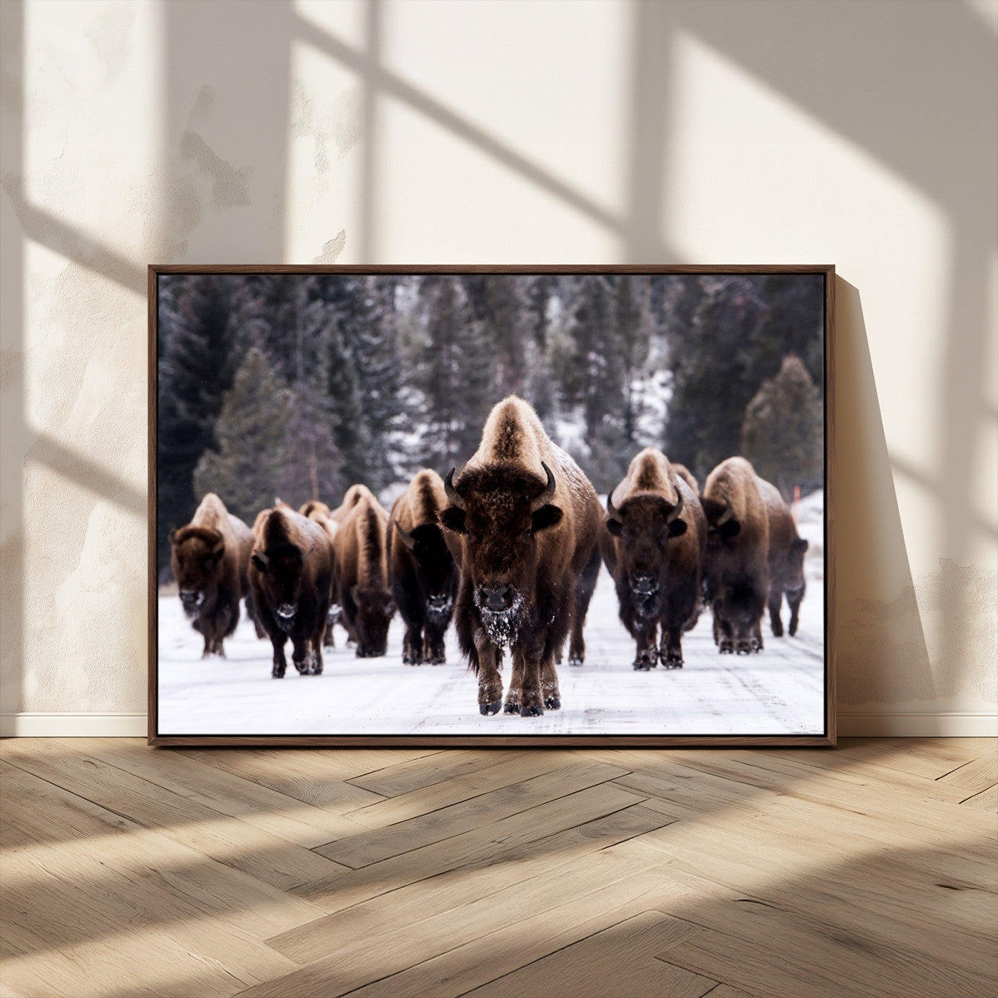 MGV-FC-36X24 - Bison Wall Art Canvas Print- Bison Herd Canvas Wall Art – Majestic Wildlife Photography – Framed and Ready to Hang Nature-Inspired Art - Buffalo Wall Art Print