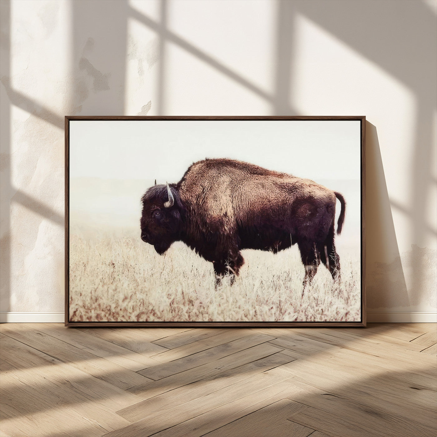 MGV-FC-36X24 - Bison in Field Wall Art Canvas Print For Farmhouse Barn Decor