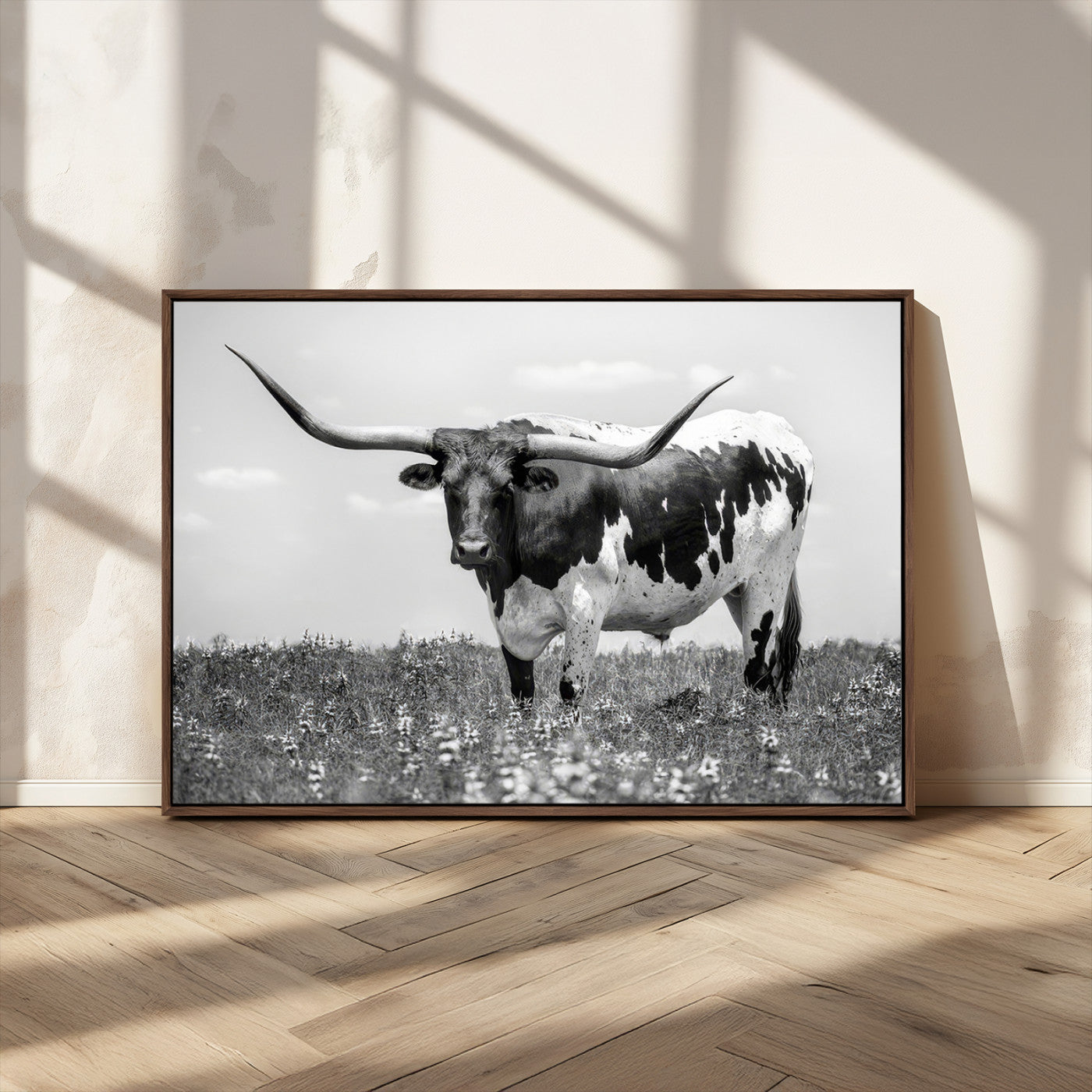 -Texas Black White Highland Longhorn Cow Wall Art Canvas Print