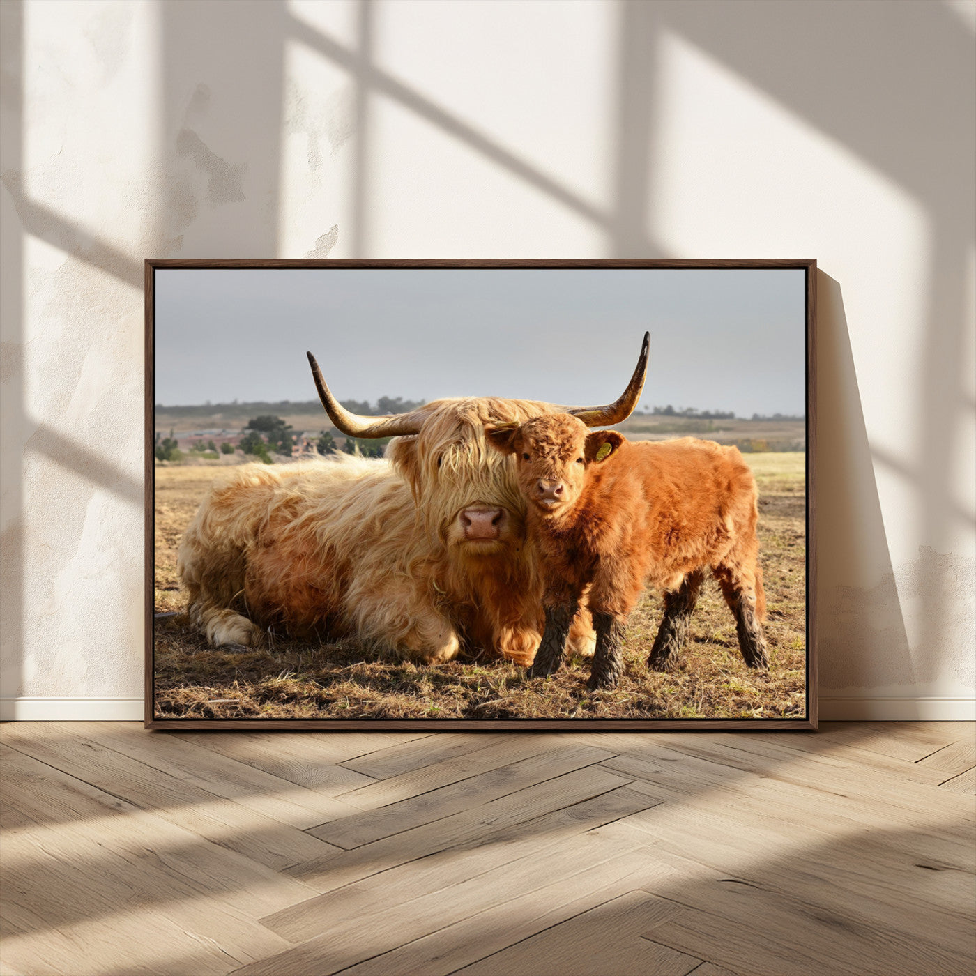 MGV-FC-36X24 - Highland Cow Canvas Wall Art Animal Print for Farm House Decor