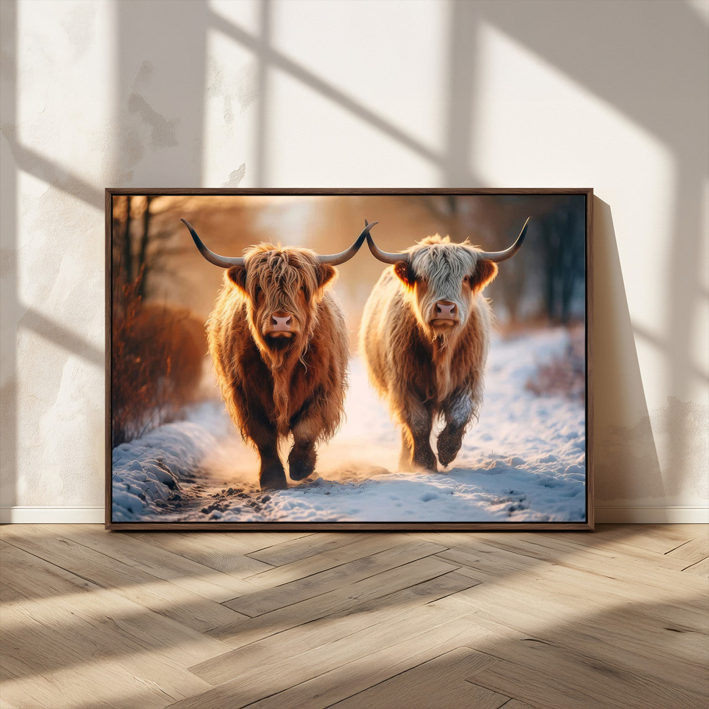 MGV-FC-36X24 - Scottish Highland Cow Horn Farm Wall Art Canvas Print