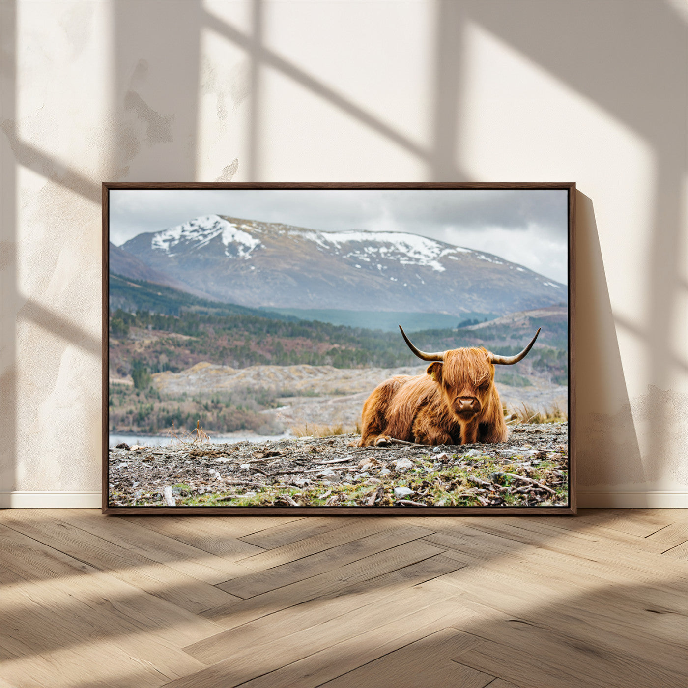 -Highland Cow Horn Farm Wall Art Canvas Print