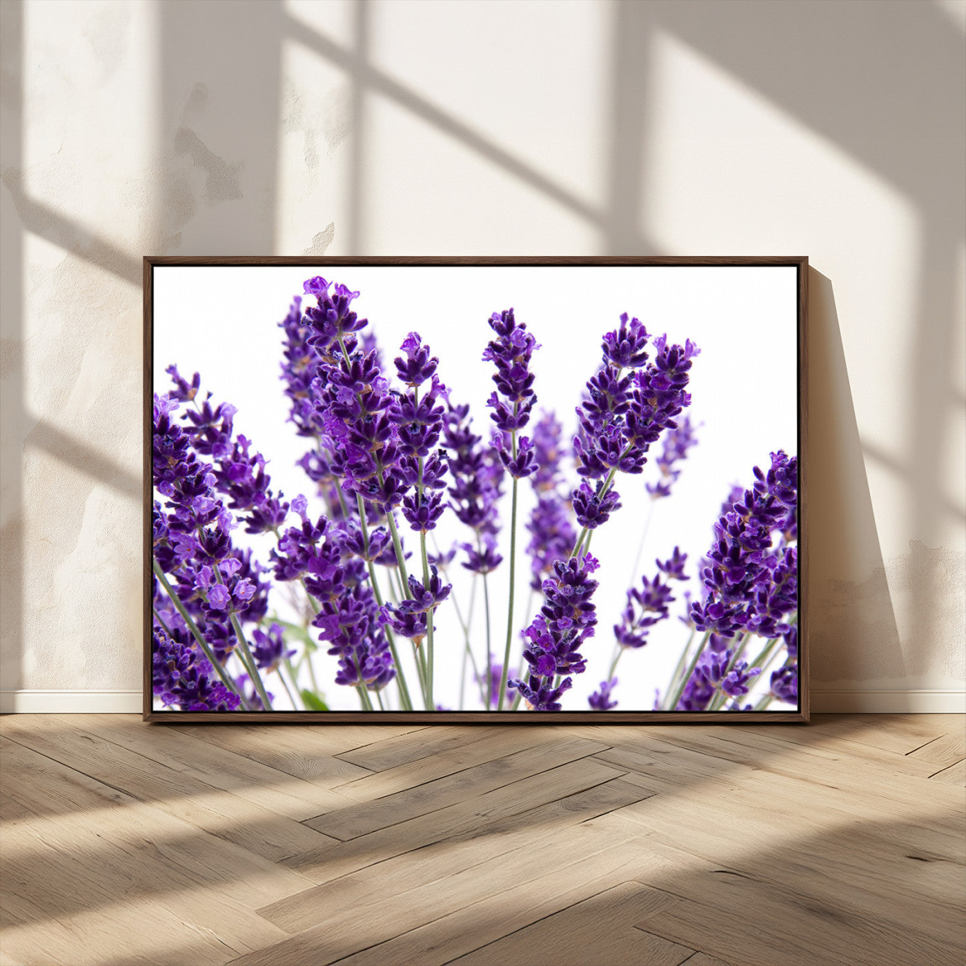 MGV-FC-36X24 - Lavender Flower Wall Art Canvas Print