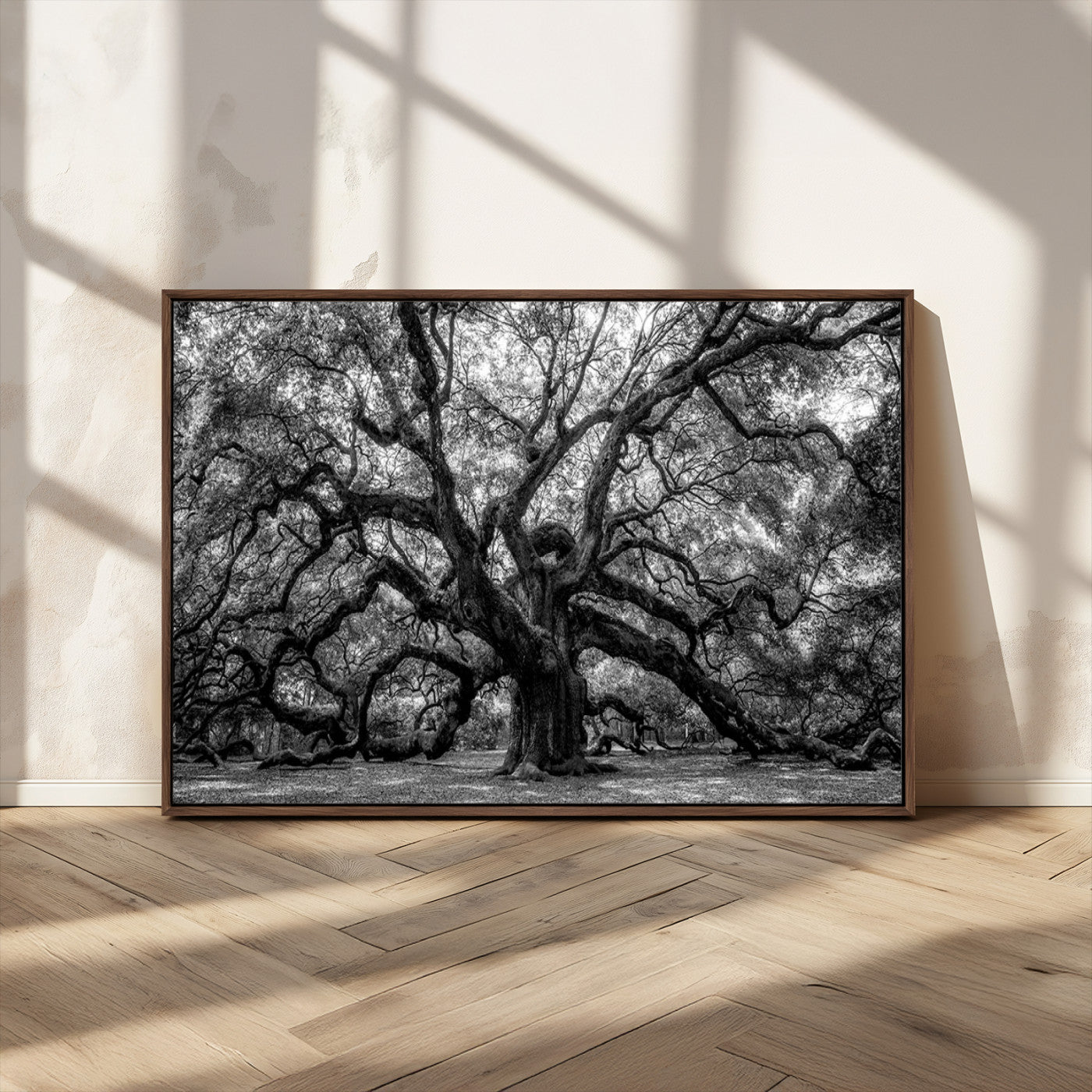 MGV-FC-36X24 - Black and White Old Angel Oak Tree Wall Art Canvas Print