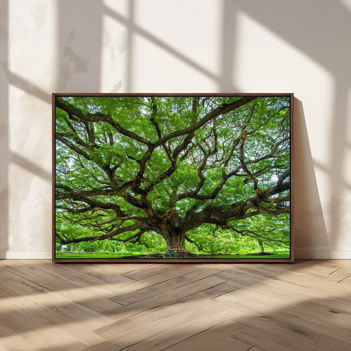 MGV-FC-36X24 - Oak Tree Wall Art Print, Forest Canvas Wall Art for Home and Office, Framed Angel Oak Tree Canvas