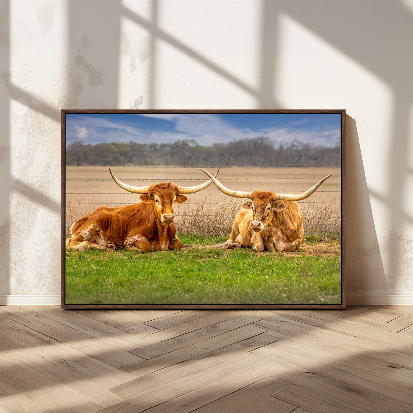 MGV-FC-36X24 - Texas Longhorn Pair Wall Art Canvas Print – Peaceful Rustic Ranch Scene with Two Cattle in Field,