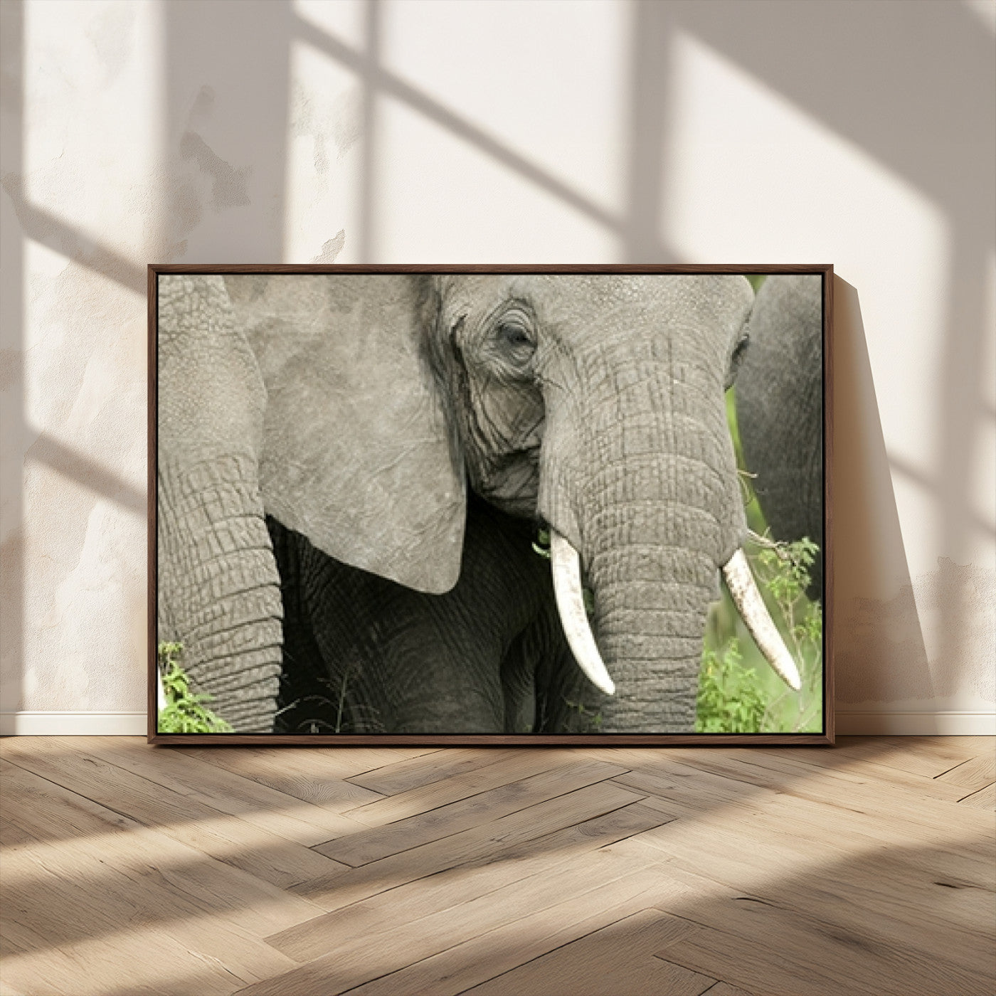 MGV-FC-36X24 - Wild Elephant Wall Art Canvas Print