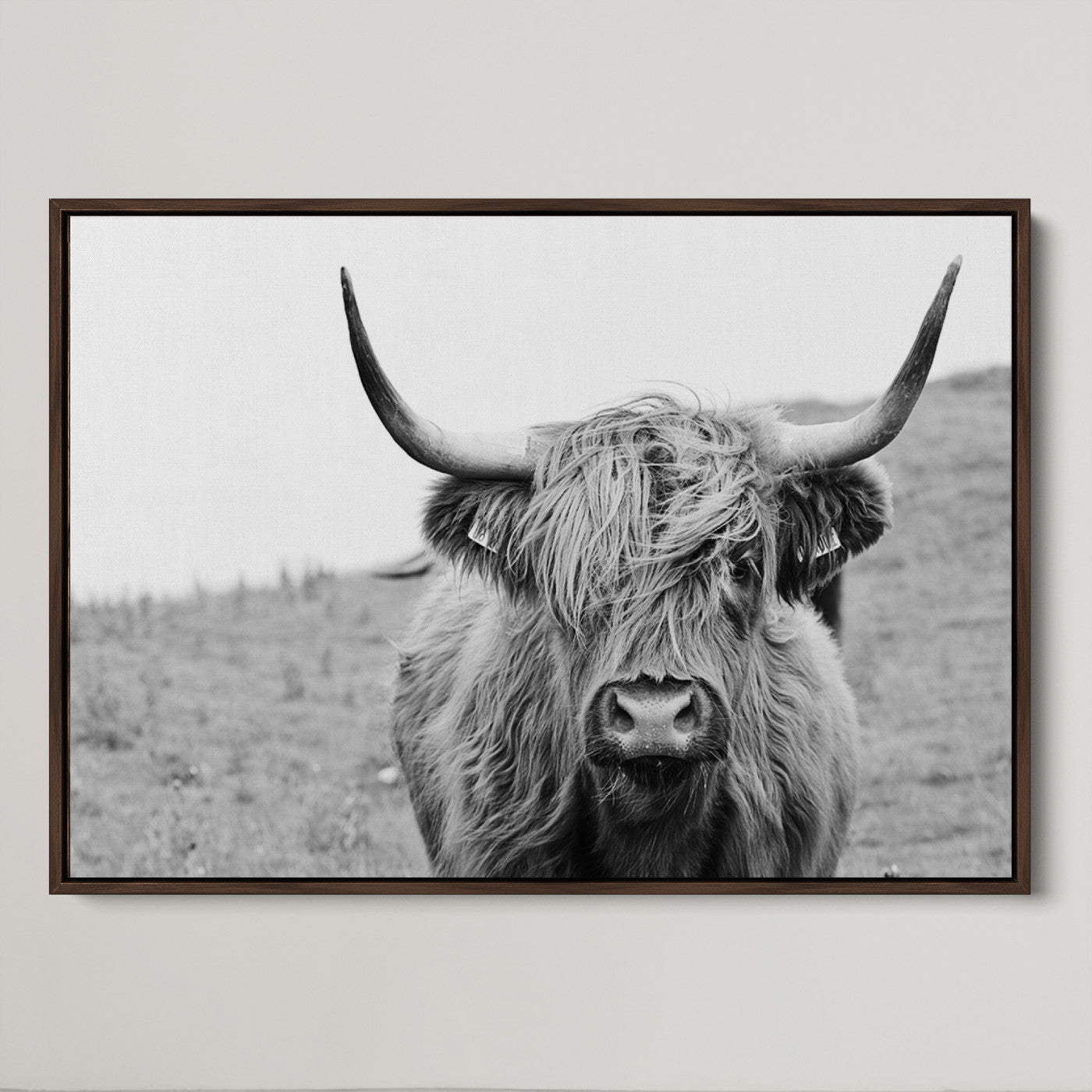 16248-MGV-CV-36X24-Newfoundland Cow Art Wall Art, Black White Cow Art Wall Art Canvas Print