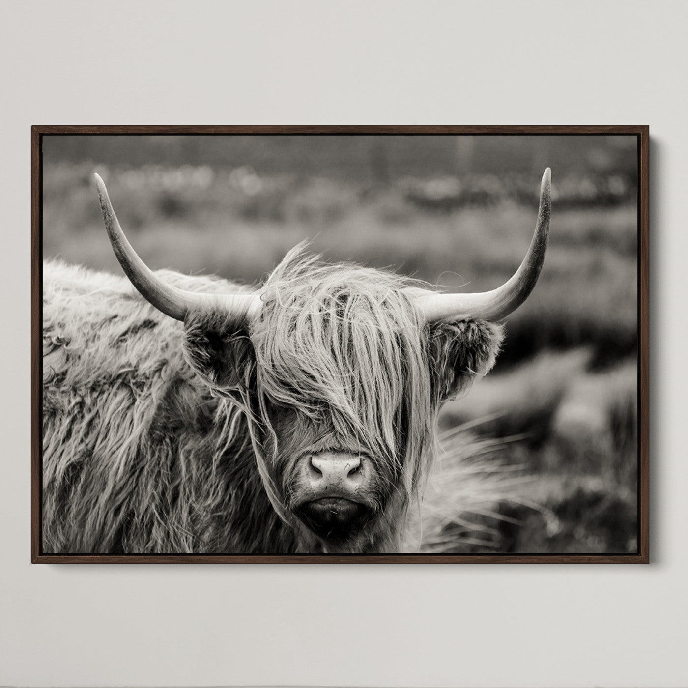 67365-MGV-CV-36X24-Cow Focus Canvas Wall Art Print