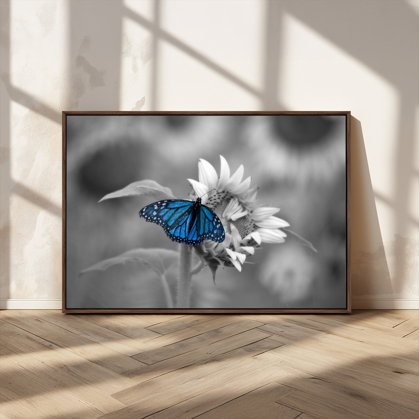 MGV-FC-36X24 - Blue Butterfly Black and White Canvas Wall Art