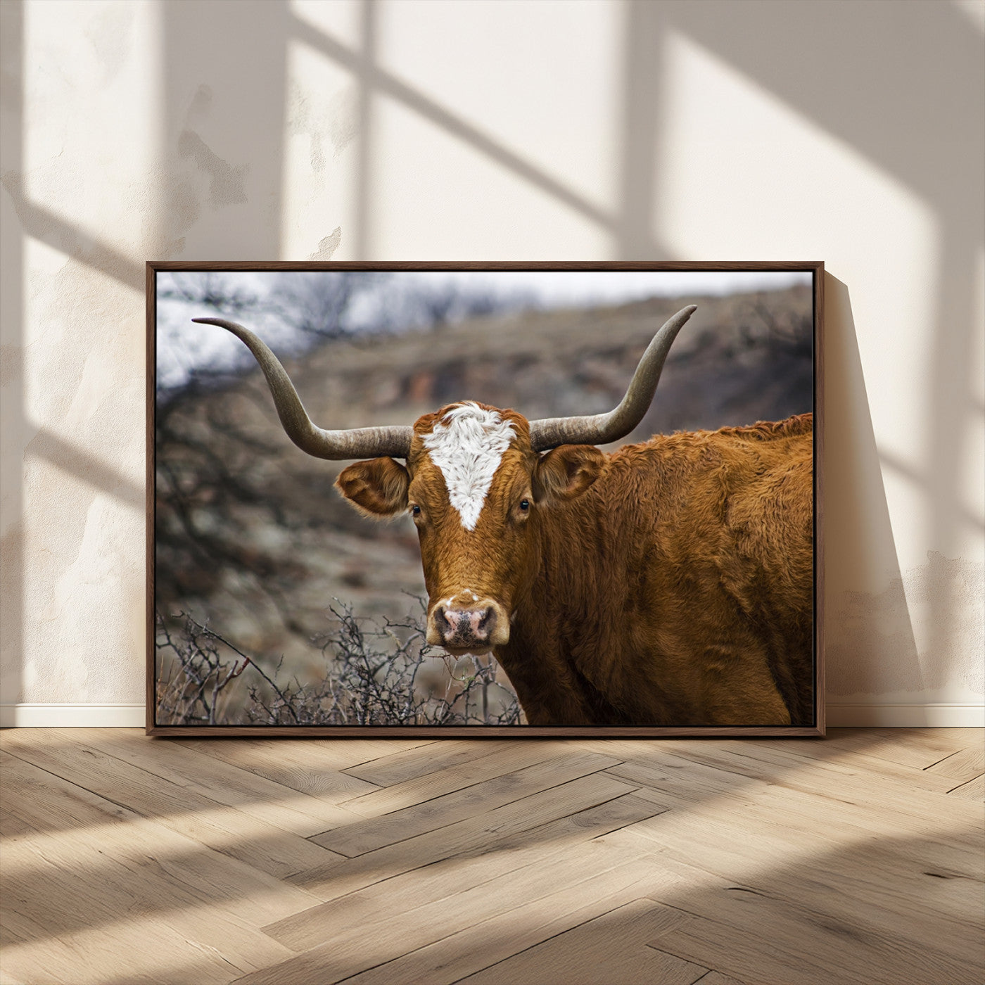 MGV-FC-36X24 - Texas Longhorn Canvas Wall Art - Longhorn Steer Canvas Wall Art Print- Rustic Western Animal Print,