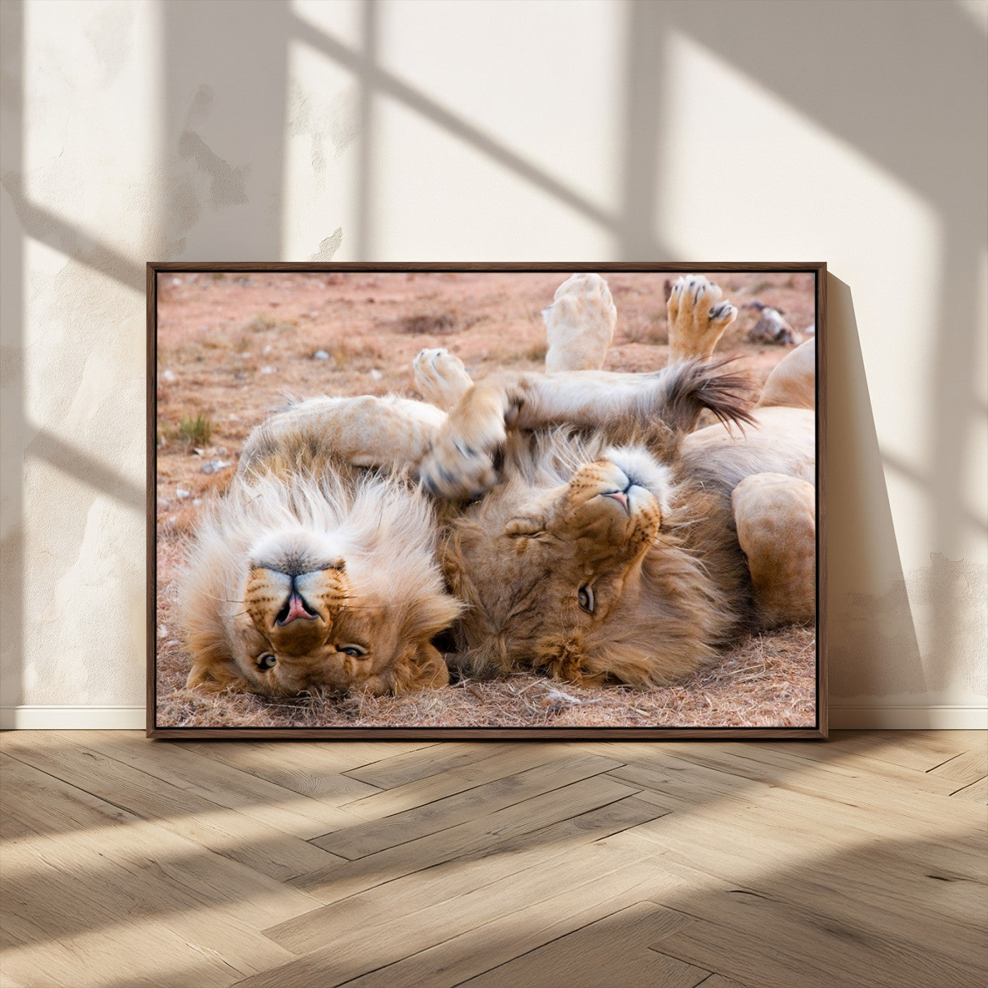 MGV-FC-36X24 - Animal Wall Art Lion Canvas Print