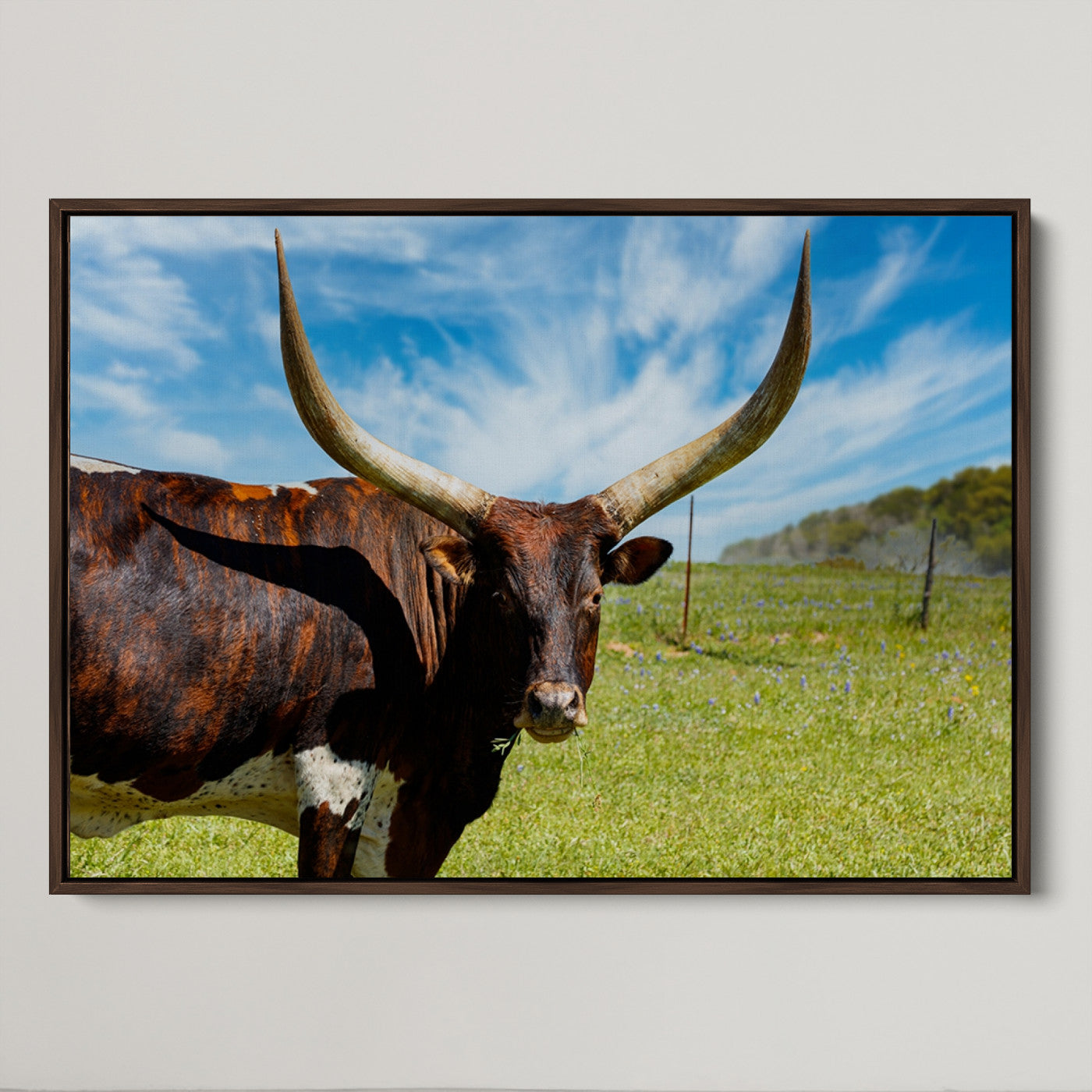 47037-MGV-CV-36X24-Longhorn and Cow Wall Art, Country Cow Wall Decor Canvas Print