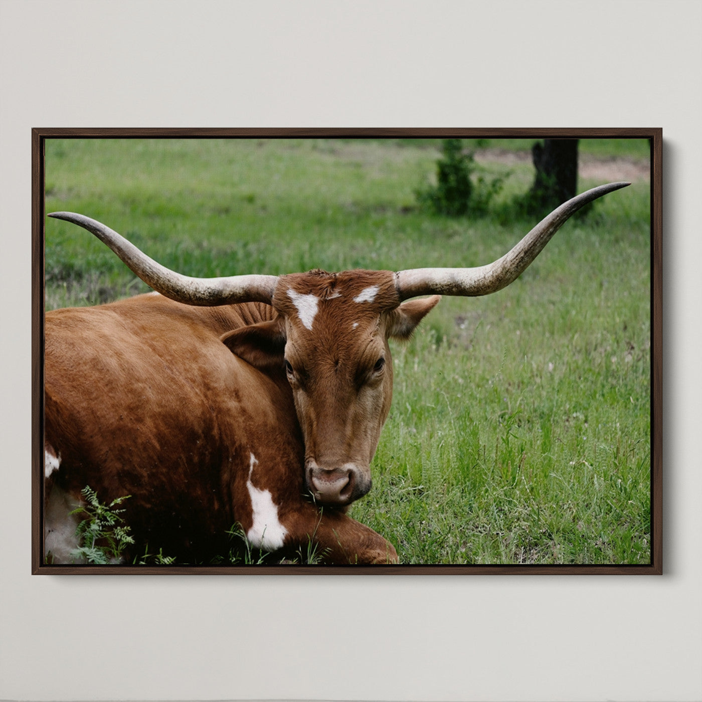 45997-MGV-CV-36X24-Longhorn Cow Animal Wall Art Canvas Print