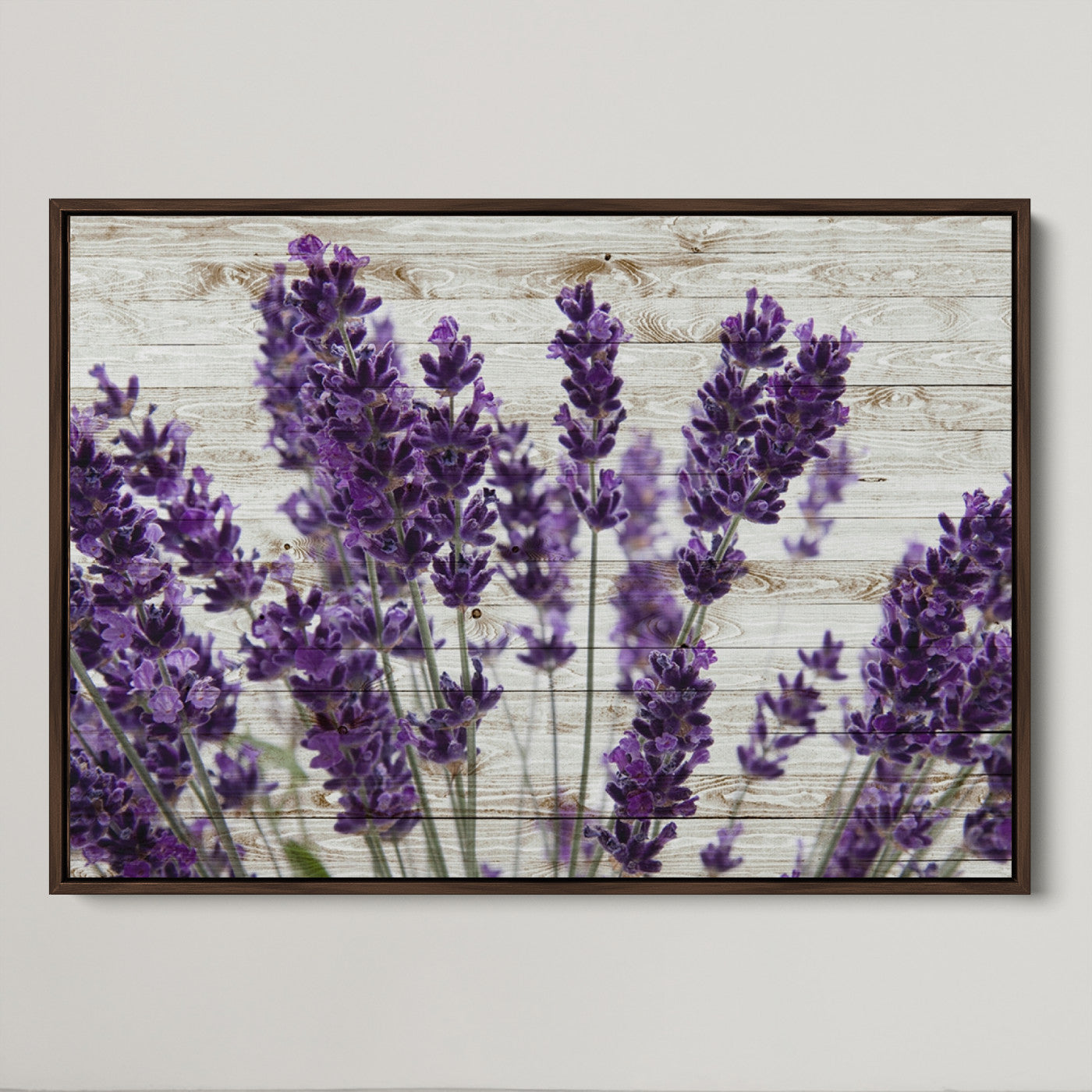 21208-MGV-CV-36X24-Lavender Herb Wall Art Canvas Print