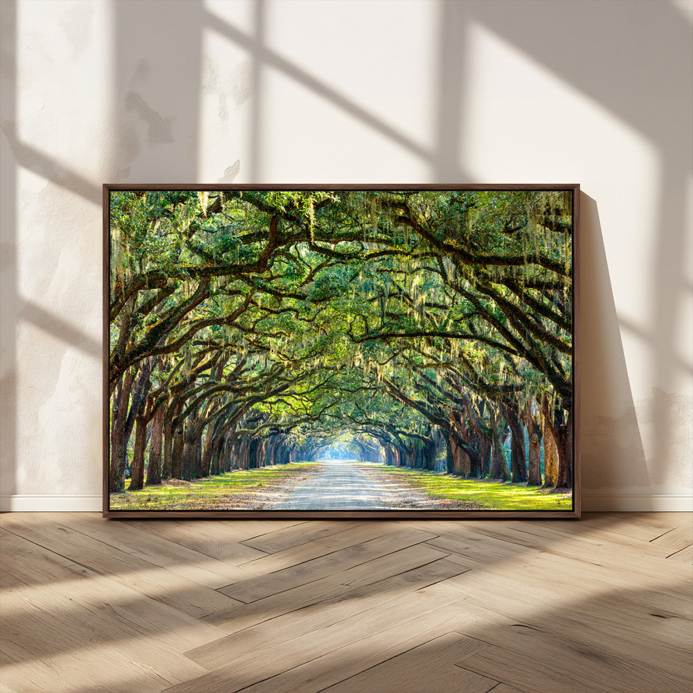 MGV-FC-36X24 - Wormsloe State Plantation Driveway Wall Art Canvas Print