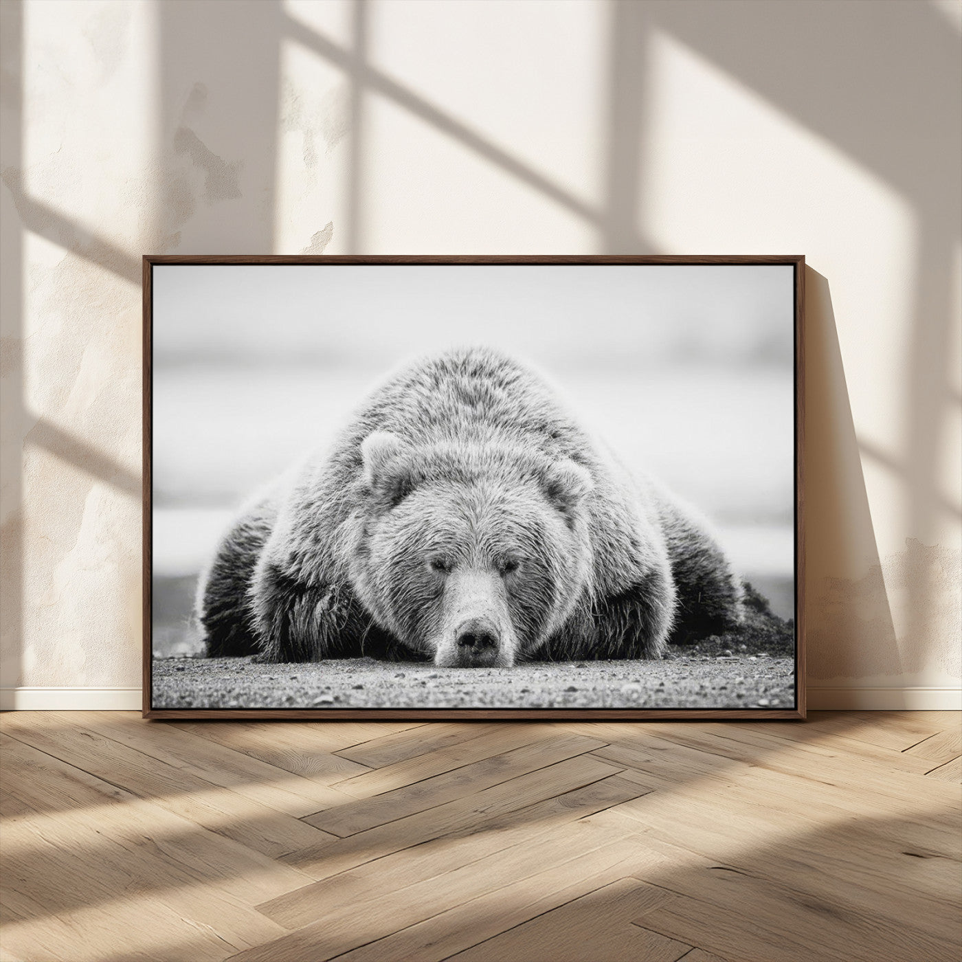 MGV-FC-36X24 - Resting Grizzly Bear Wall Art Canvas Print – Majestic Lazy Black and White Wildlife Bear Art,