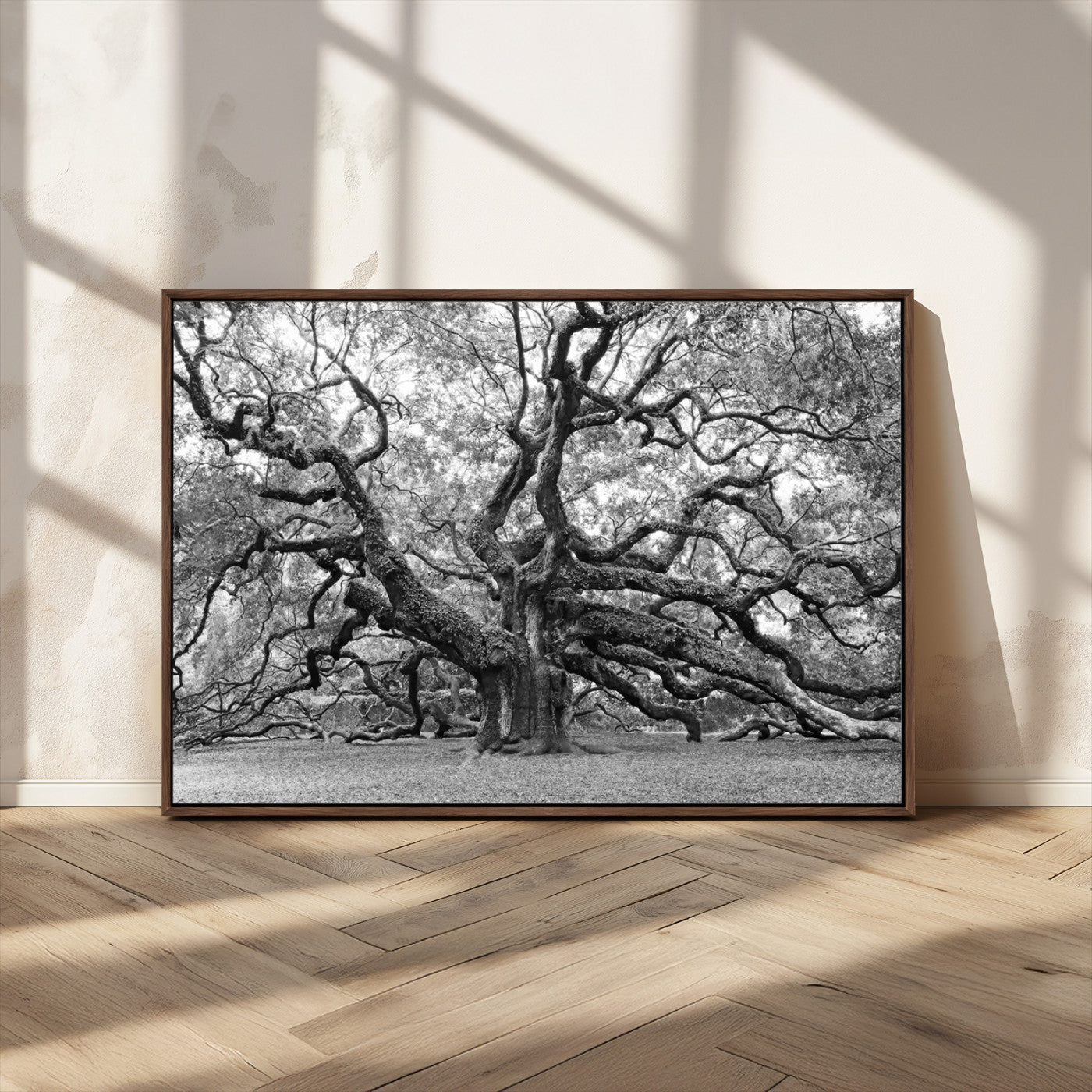 MGV-FC-36X24 - Black White Angel Oak Tree Wall Art - Timeless Nature-Inspired Canvas for Rustic, Modern, or