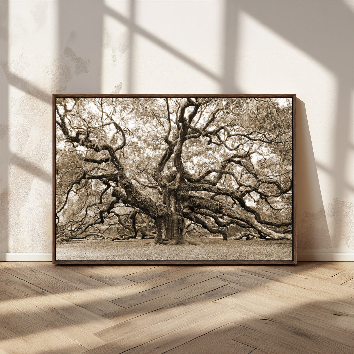 51126-MGV-CV-36X24-Sepia Framed Angel Oak Tree Wall Art - 3-Panel Canvas Prints, Large Green Nature Artwork, Ready to