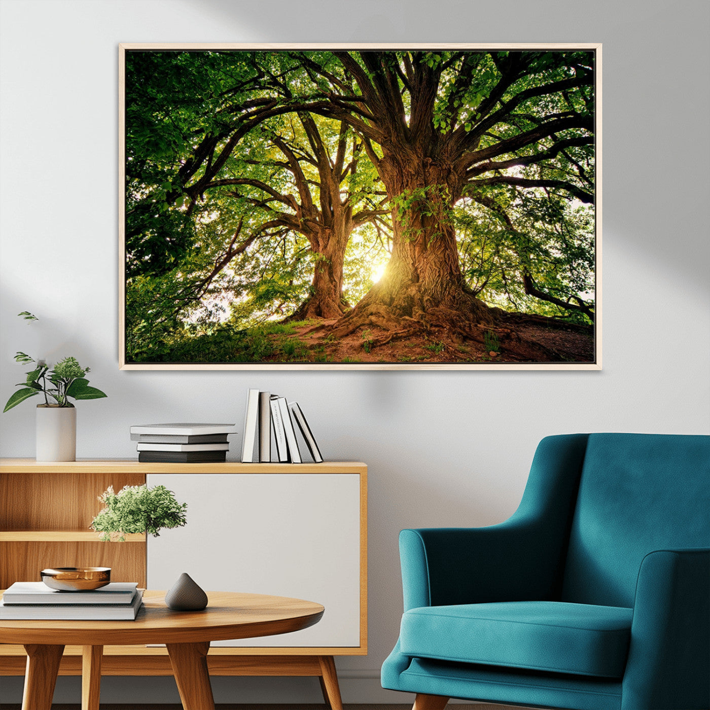 MGV-FC-36X24 - Majestic Ancient Tree Wall Art, Nature-Inspired Canvas Print, Woodland Art, Tree of Life Artwork, Sunlit Forest, Giclee Nature Print