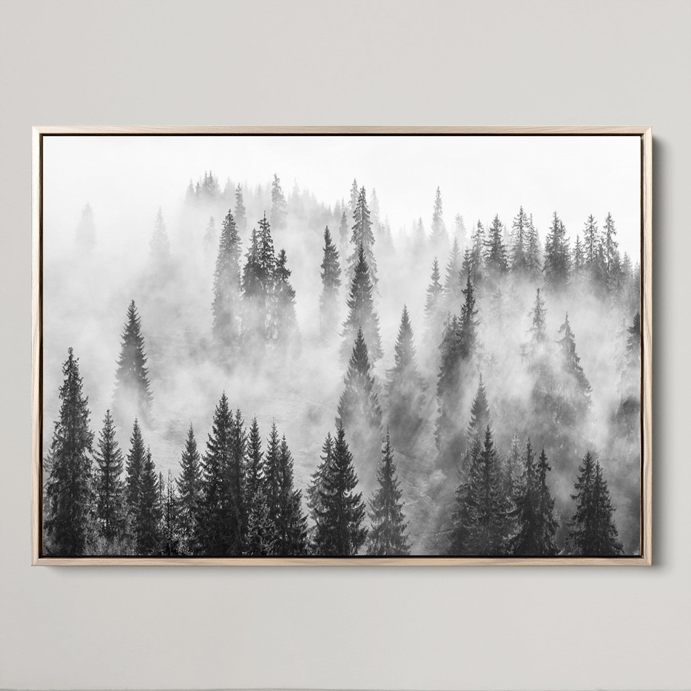 10422-MGV-FC-36X24_Natural-Forest Wall Art Print | Foggy Pine Forest Canvas Wall Art - Black and White Nature Decor for Living Room