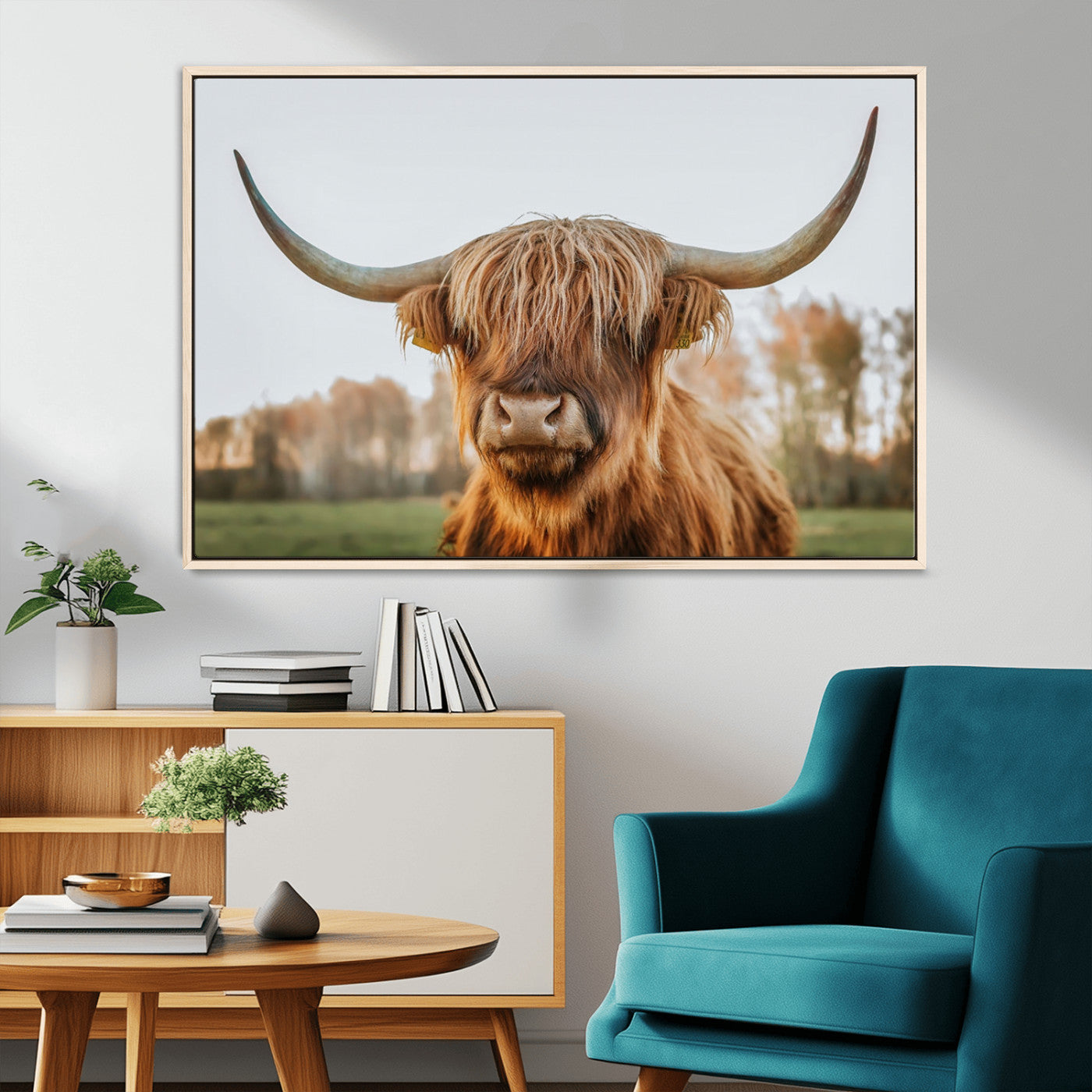 MGV-FC-36X24 - Highland Cow Animal Scottish Cattle Art Print Farmhouse Wall Art Canvas Print
