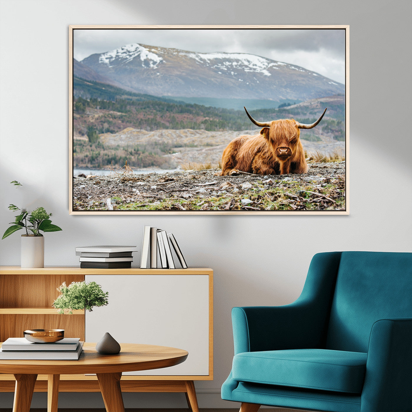 -Highland Cow Horn Farm Wall Art Canvas Print