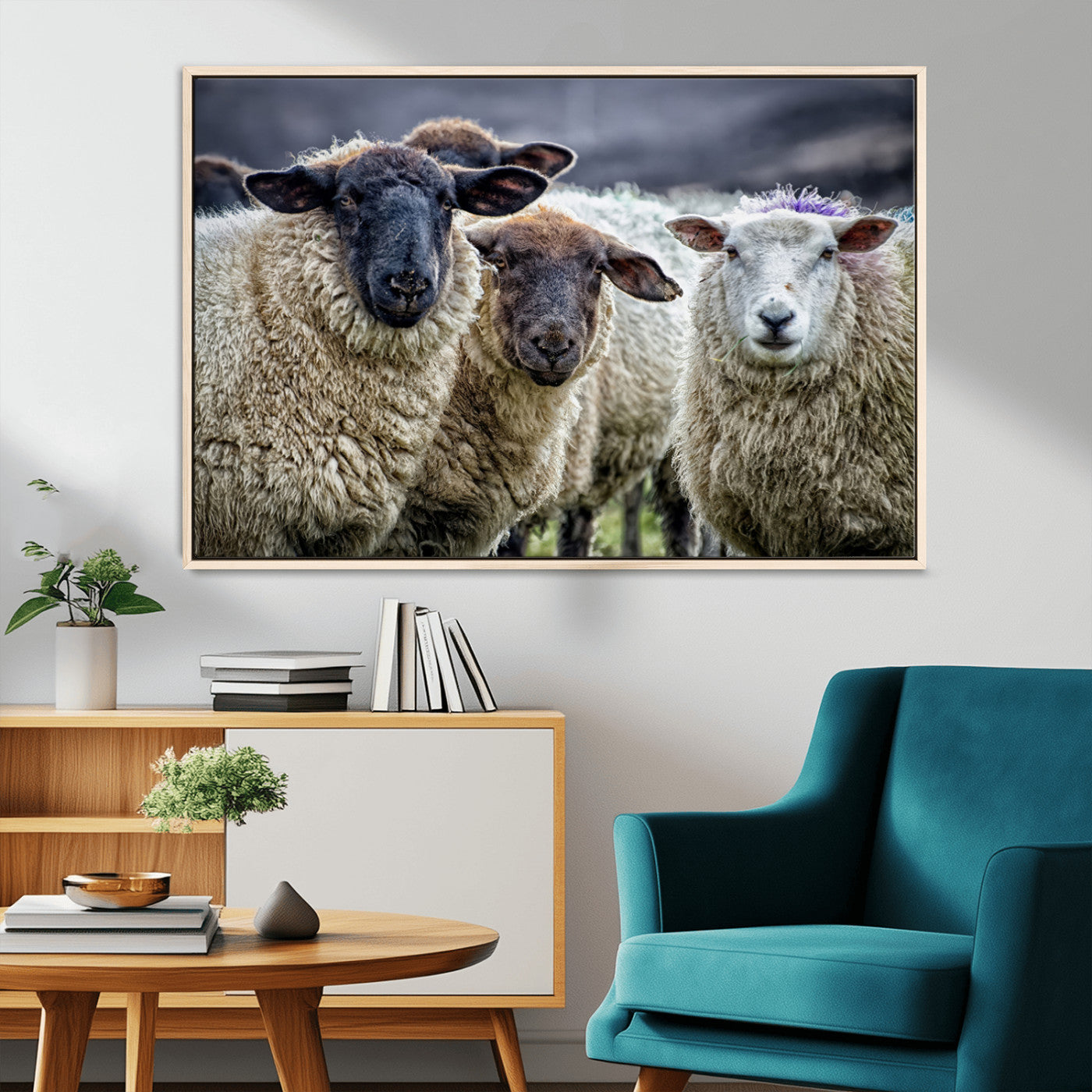 -Charming Sheep Portrait Wall Art – Trio of Woolly Companions Canvas Print, Framed, Ready to Hang