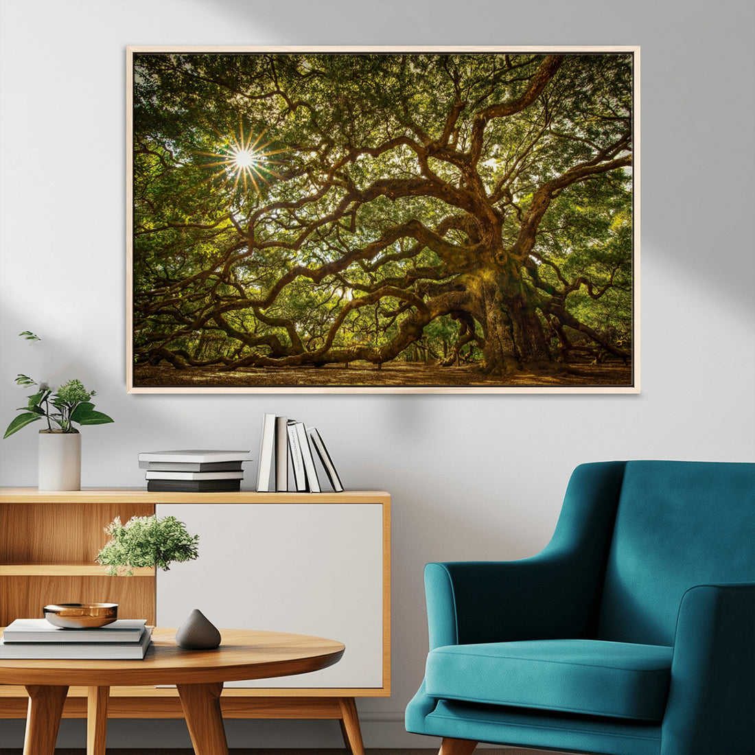 Ancient Angel Oak Tree Art Sunburst Canvas Print, Nature Inspired Triptych