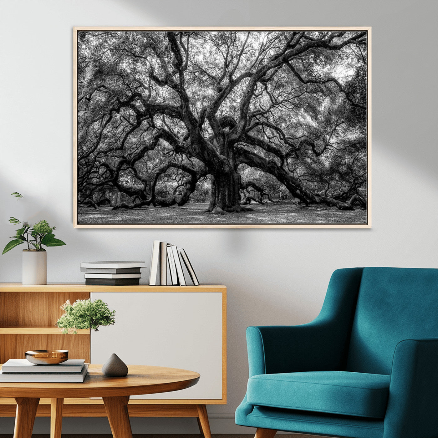 MGV-FC-36X24 - Black and White Old Angel Oak Tree Wall Art Canvas Print