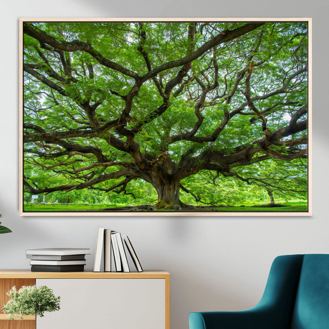 Ancient Tree Wall Art Canvas Print, Framed Sprawling Branches