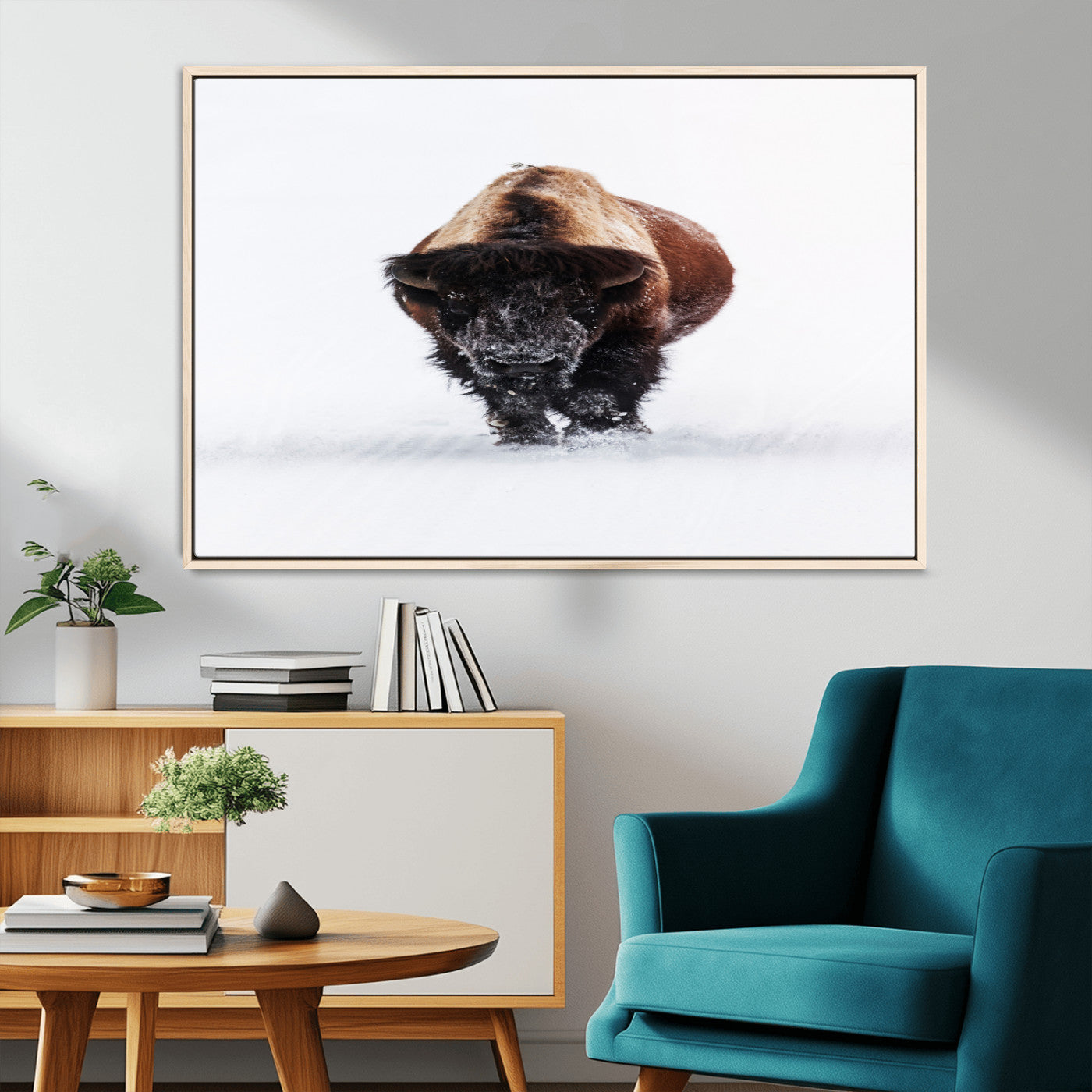 Front view of a strong bison walking in deep snow, isolated white background, perfect for rustic or lodge-style home decor.