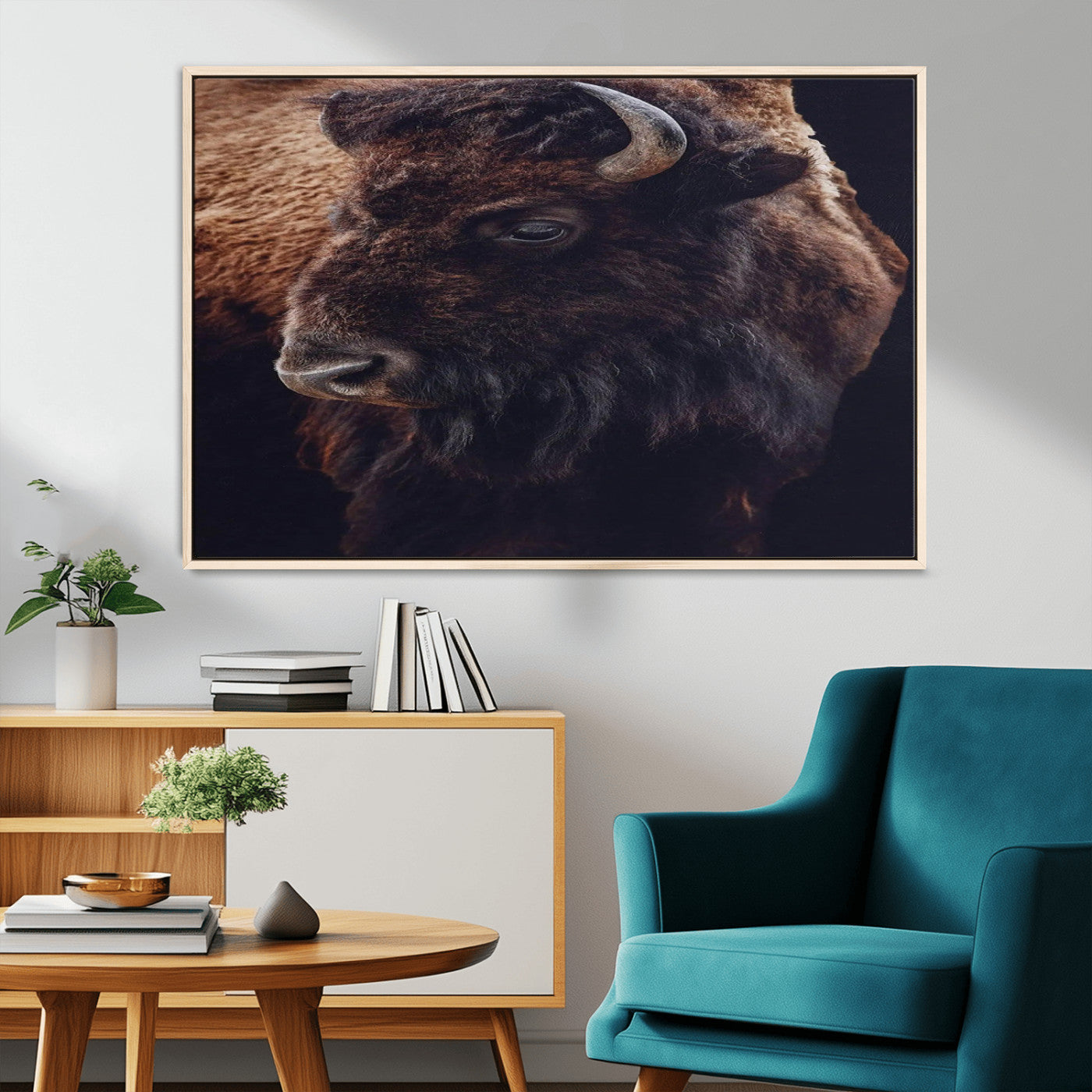 Close-up portrait of a bison with dark fur on a black background, perfect for rustic, lodge, or Western-style interior wall decor.