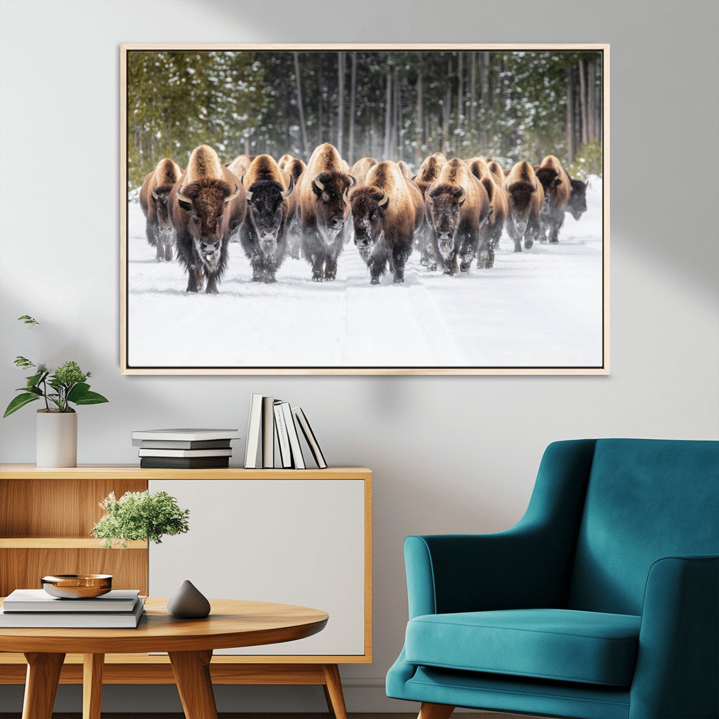 MGV-FC-36X24 - American Bison Herd in Snow Wall Art Canvas Print – Powerful Winter Wildlife Scene with Buffalo in