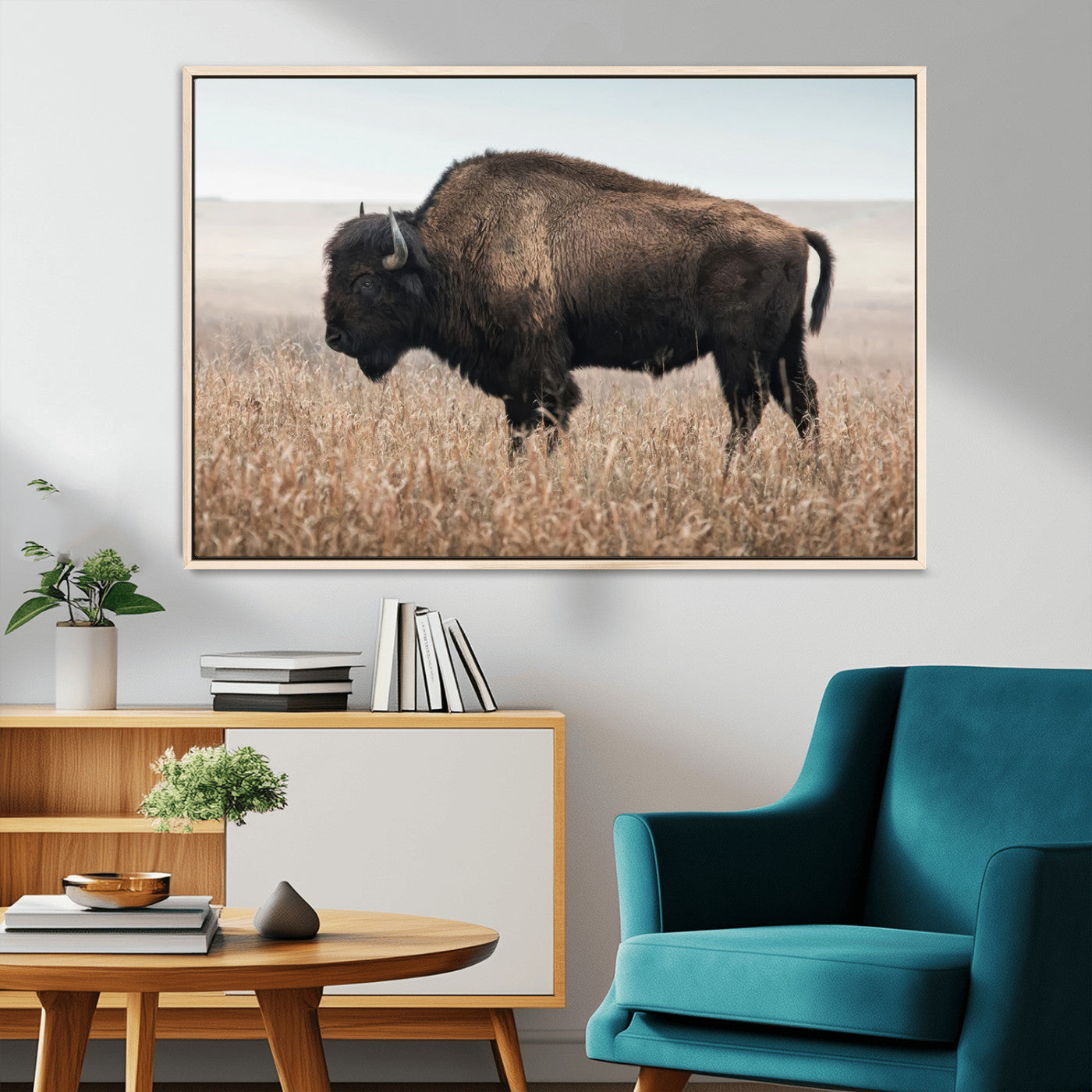 MGV-FC-36X24 - American Bison in Field  Wall Art Canvas Print – Powerful Winter Wildlife Scene with Buffalo in
